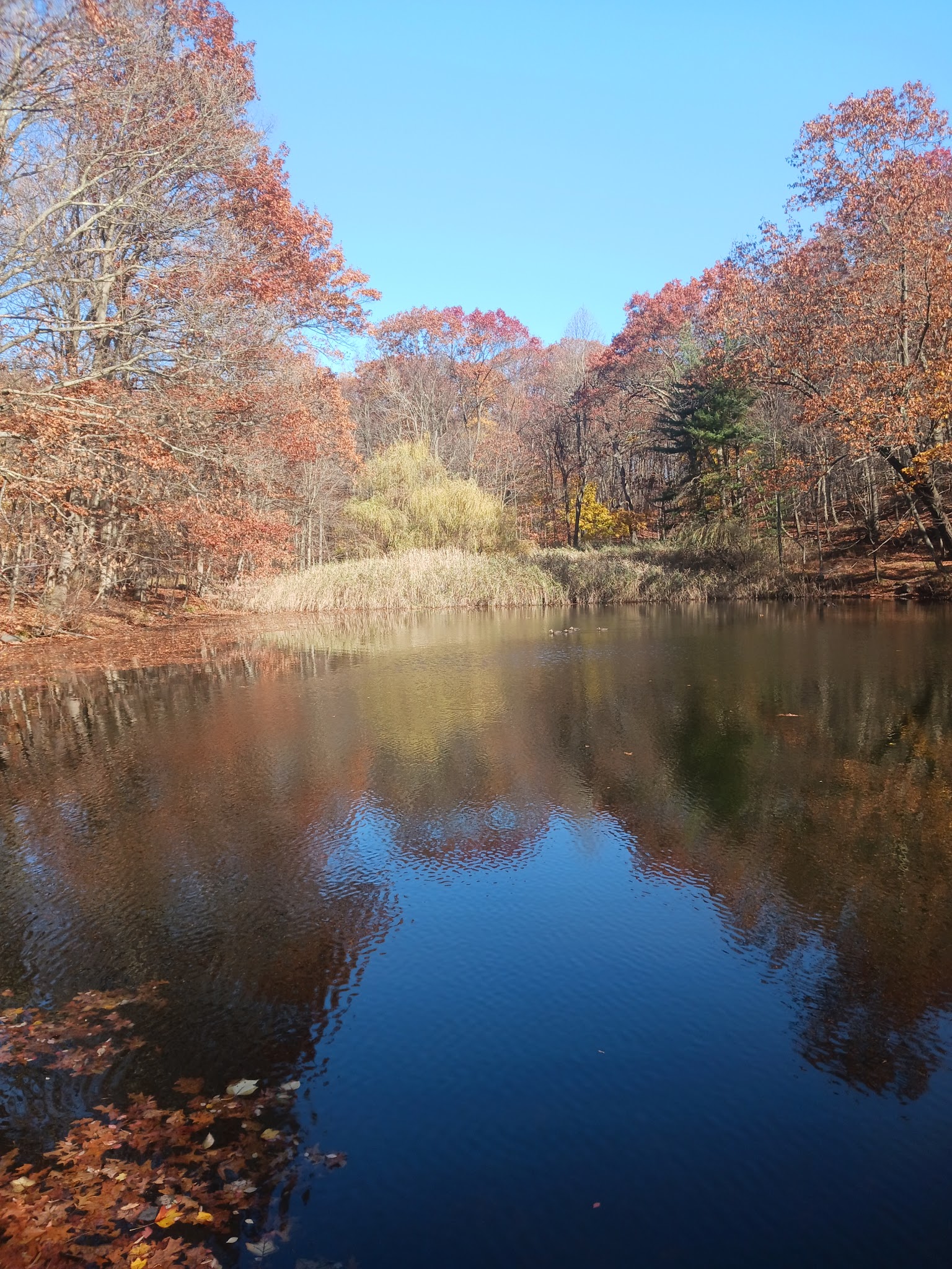 Hillside Park - Hastings-On-Hudson, NY
