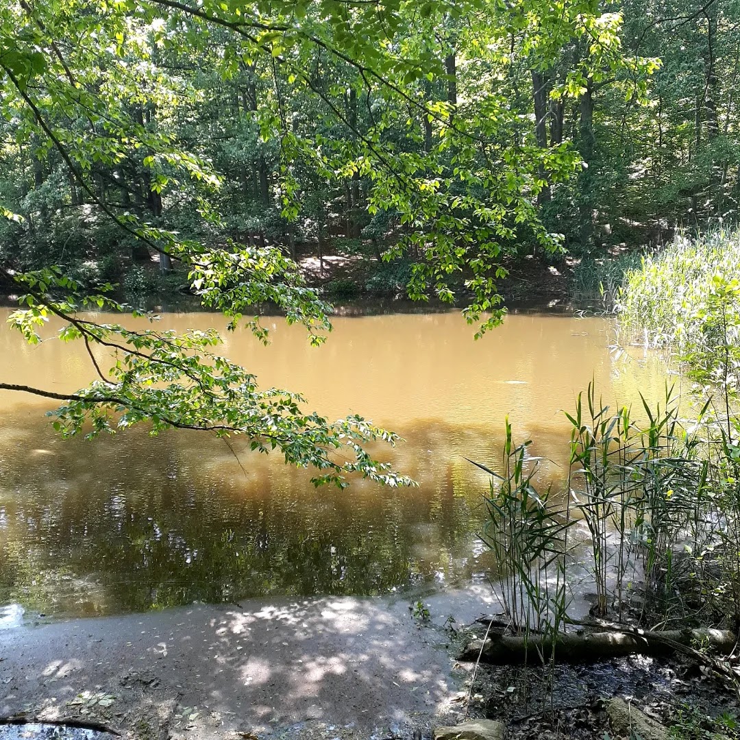Hillside Park - Hastings-On-Hudson, NY