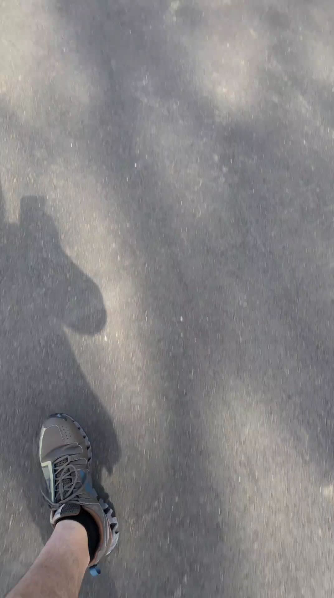 Riverside Dog Park - Haverhill, MA