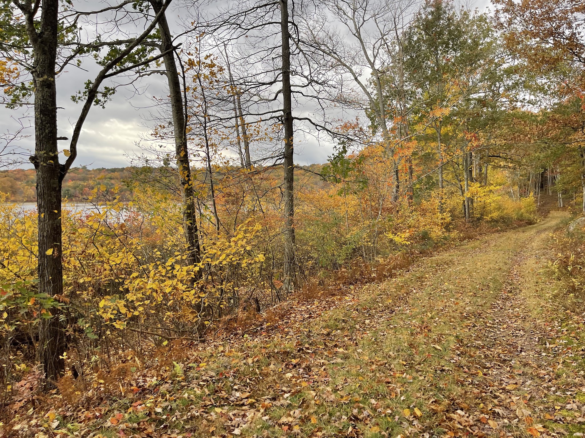 Cobey Pond Trailhead - Hawley, PA