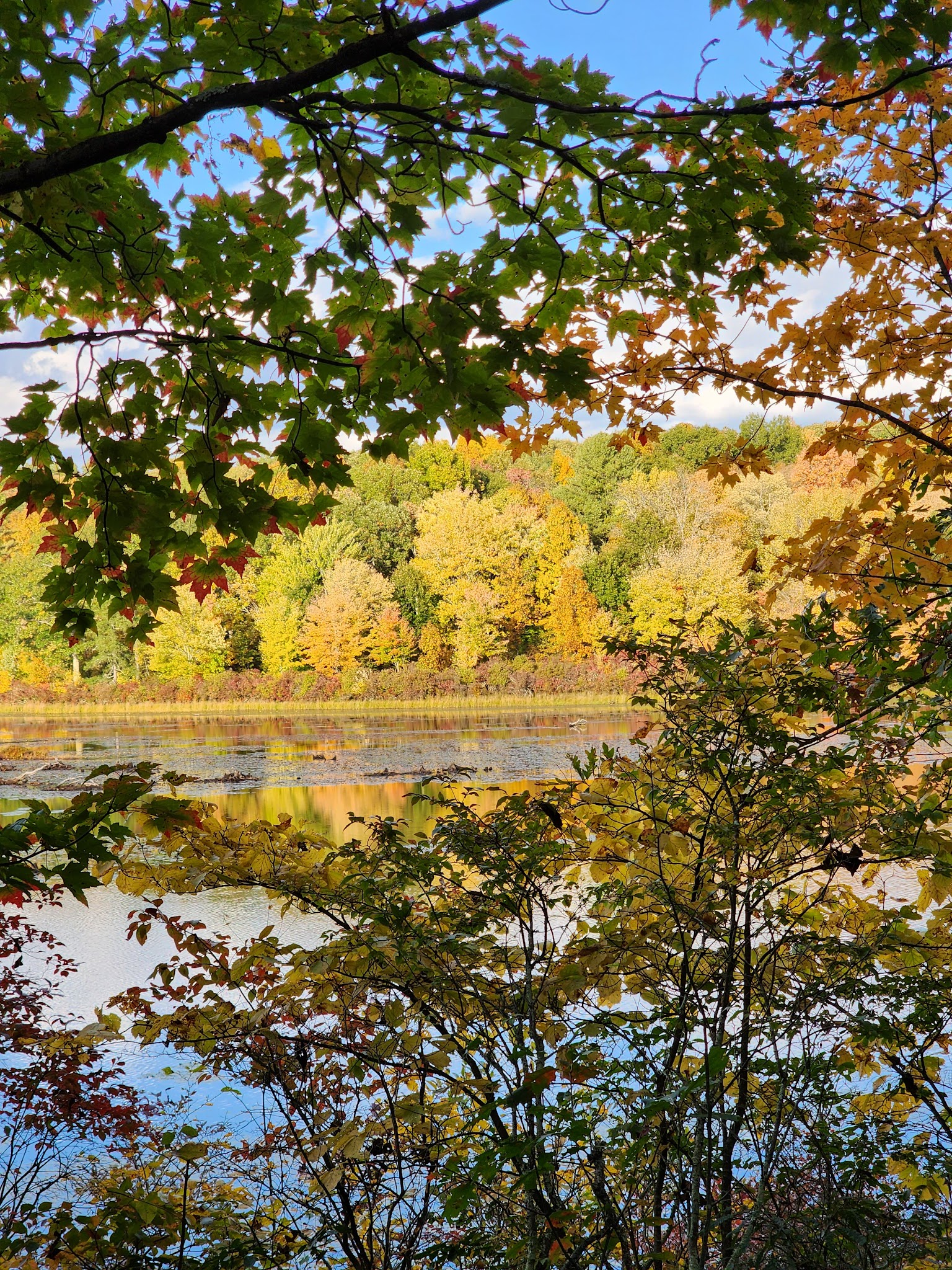 Cobey Pond Trailhead - Hawley, PA