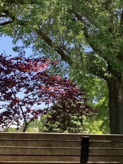 Goffle Brook Park - Hawthorne, NJ