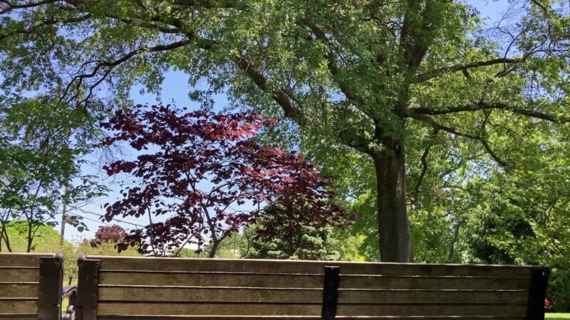 Goffle Brook Park - Hawthorne, NJ