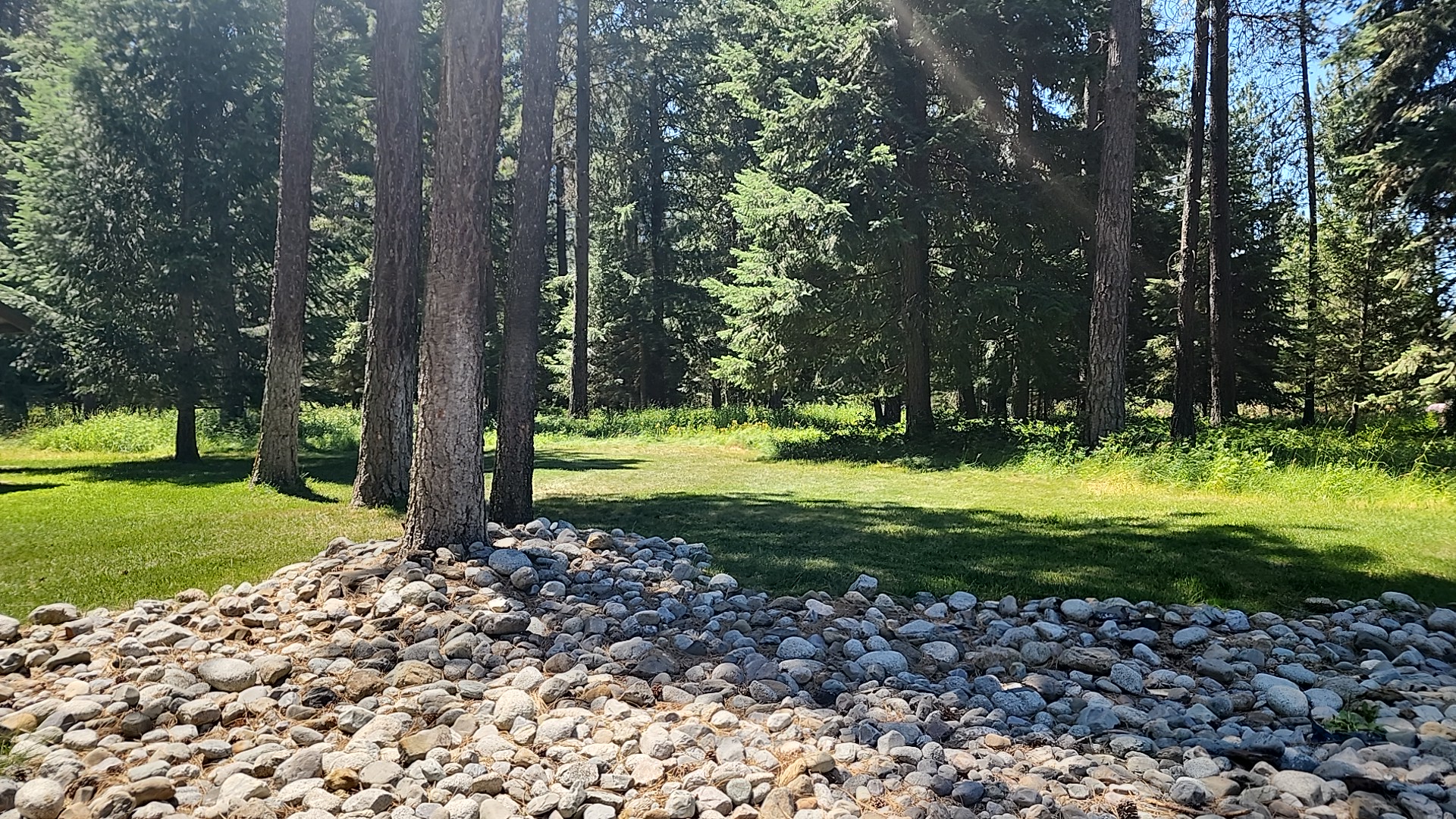 McCall Park - Hayden Lake, ID