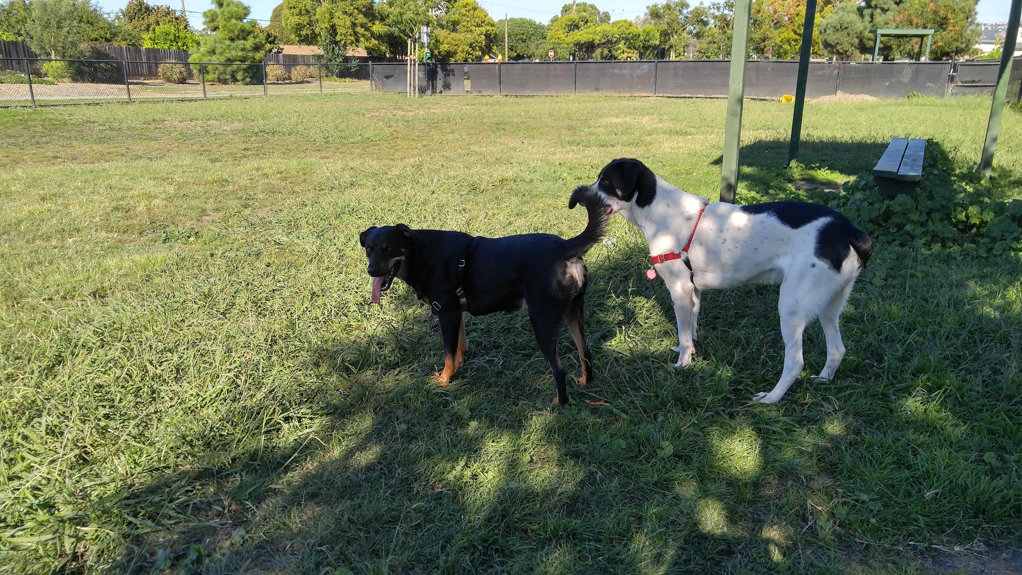 Eden Greenway Dog Park - Hayward, CA
