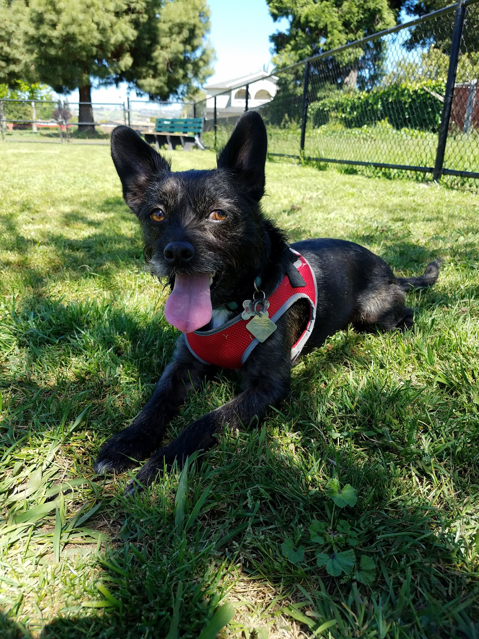 Eden Greenway Dog Park - Hayward, CA