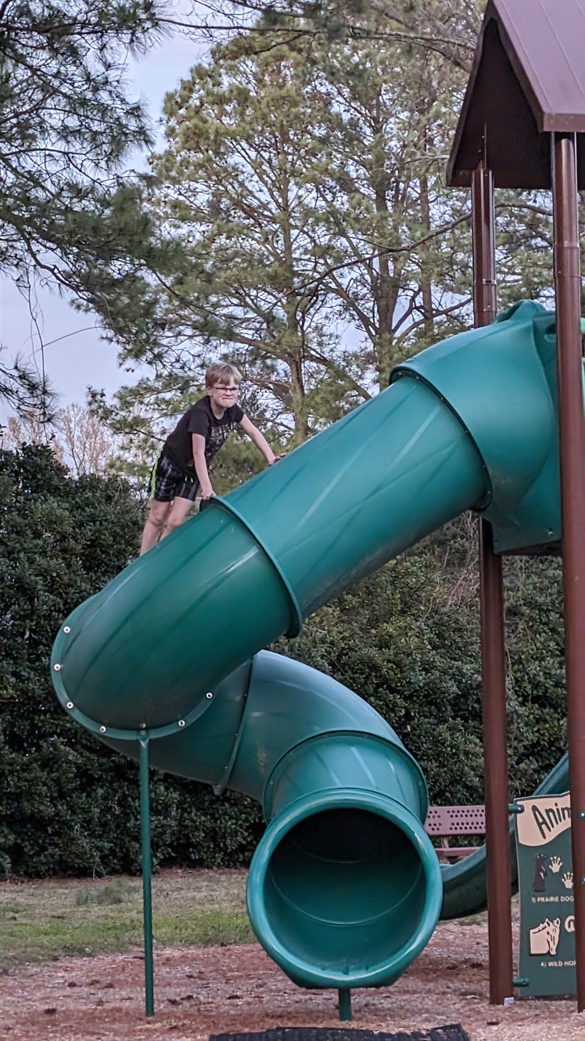Crooked Oak Playground - Hebron, MD