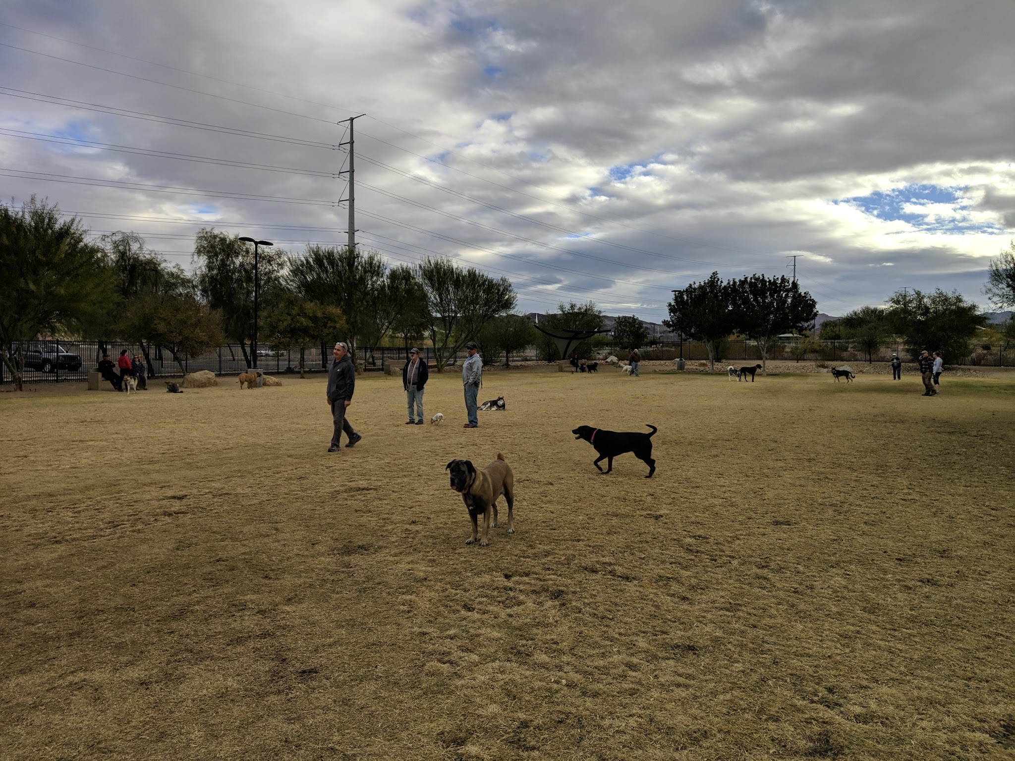 Bark Park - Henderson, NV