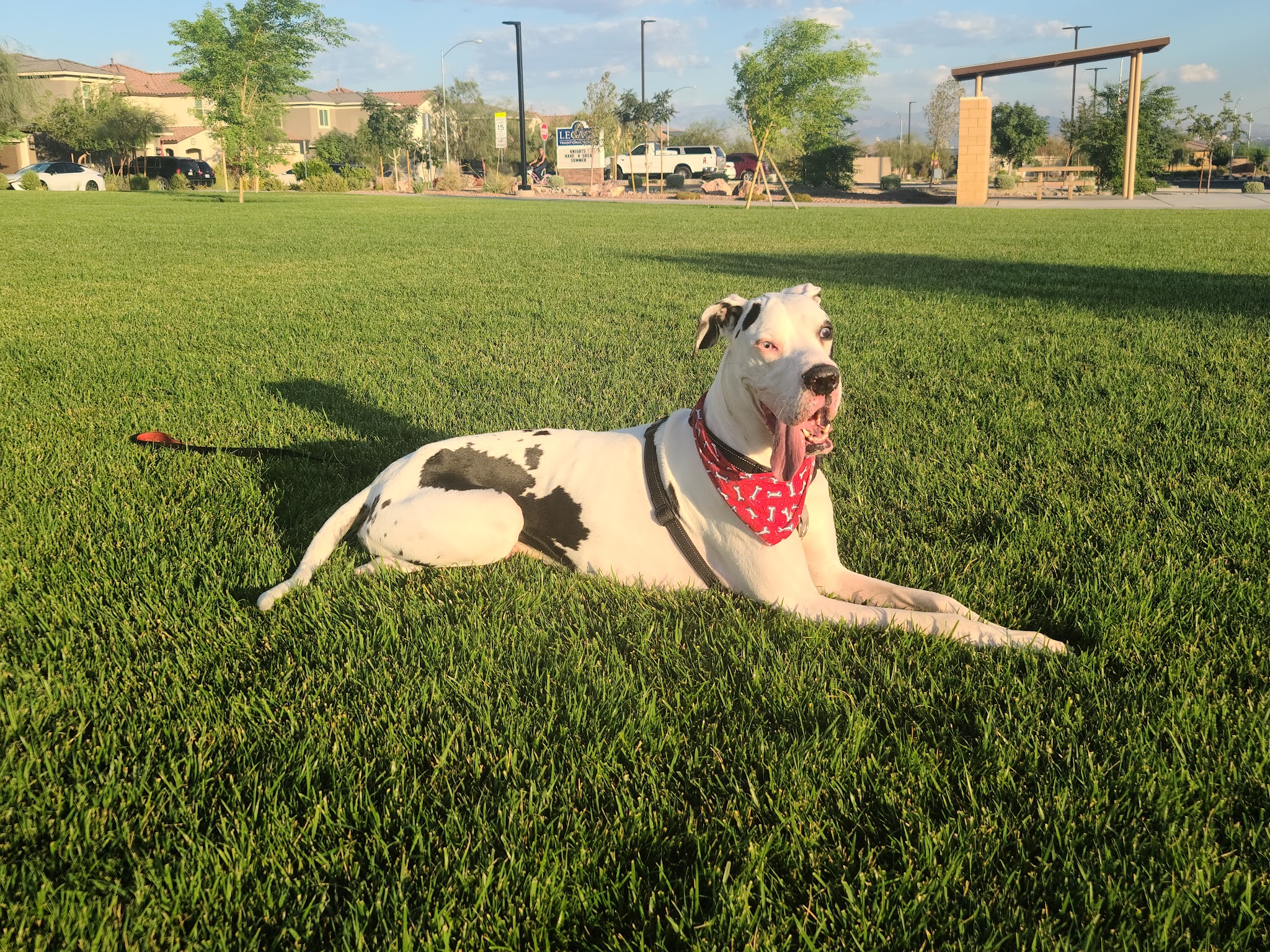 Desert Pulse Park - Henderson, NV