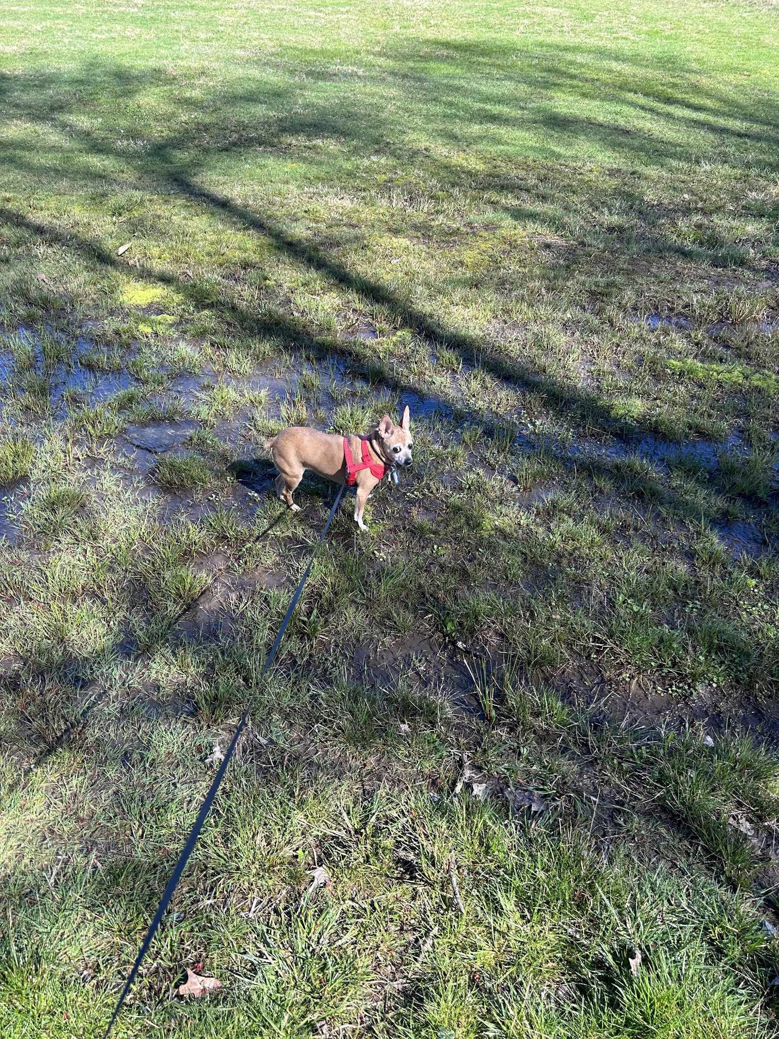 Etowah Park - Hendersonville, NC