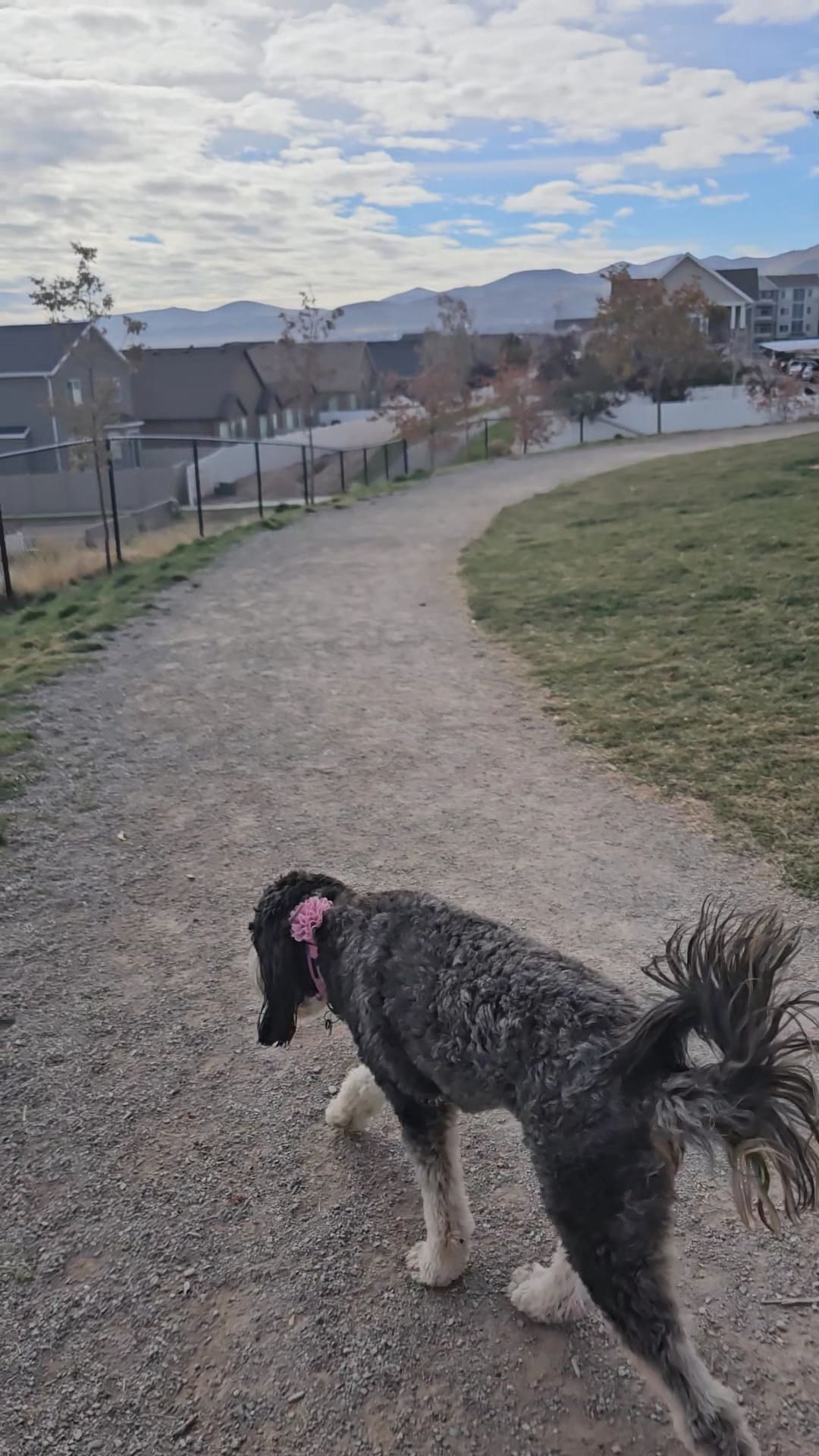 Herriman dog park - Herriman, UT