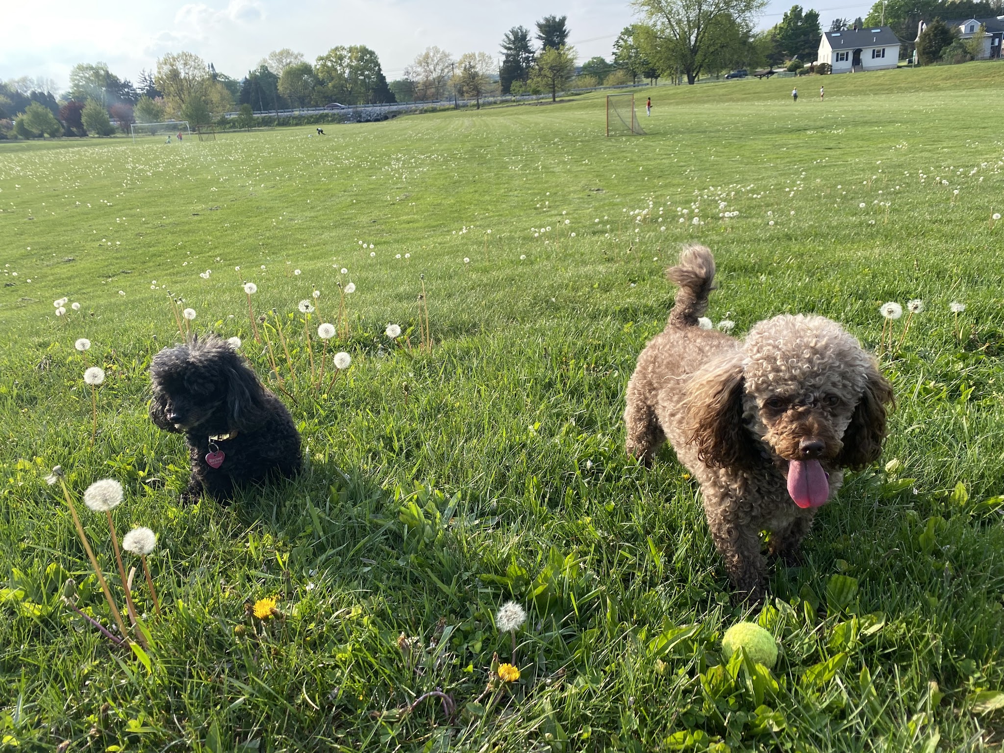 Palmdale Park - Hershey, PA
