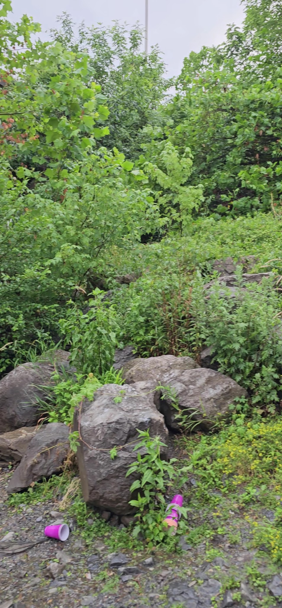 Swatara Creek Park - Hershey, PA