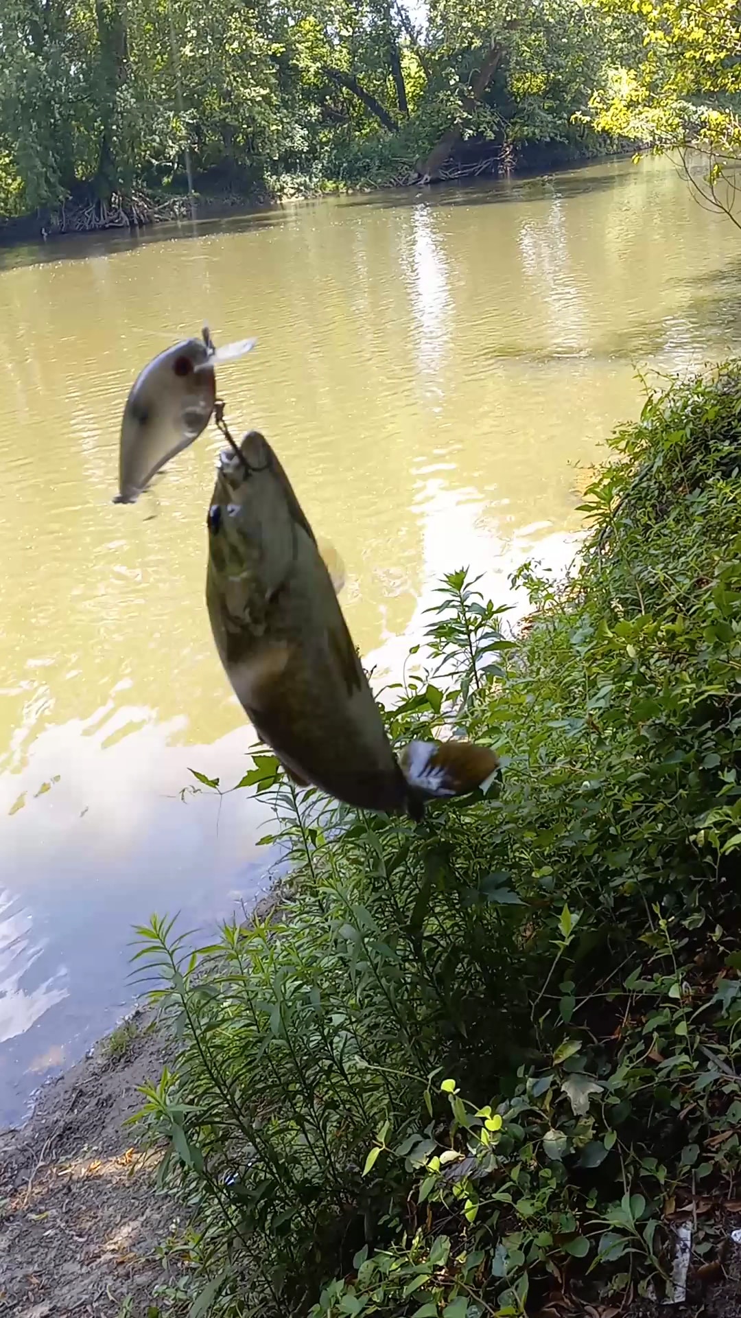 Swatara Creek Park - Hershey, PA