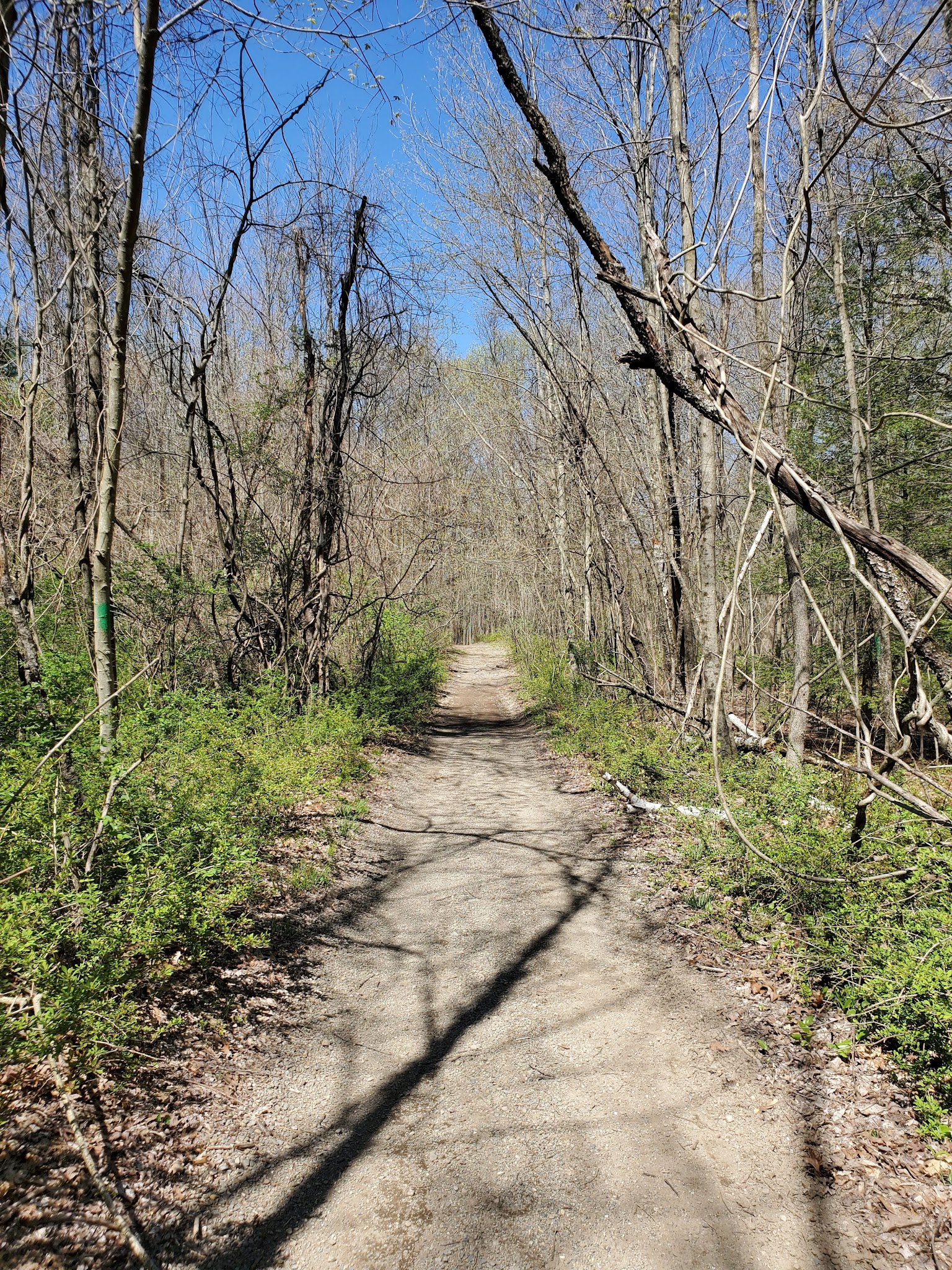 Highlands Preserve - Hewitt, NJ