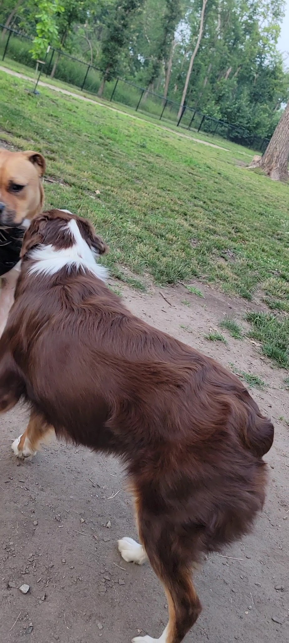Cedar Valley Nature Trail - Hiawatha, IA