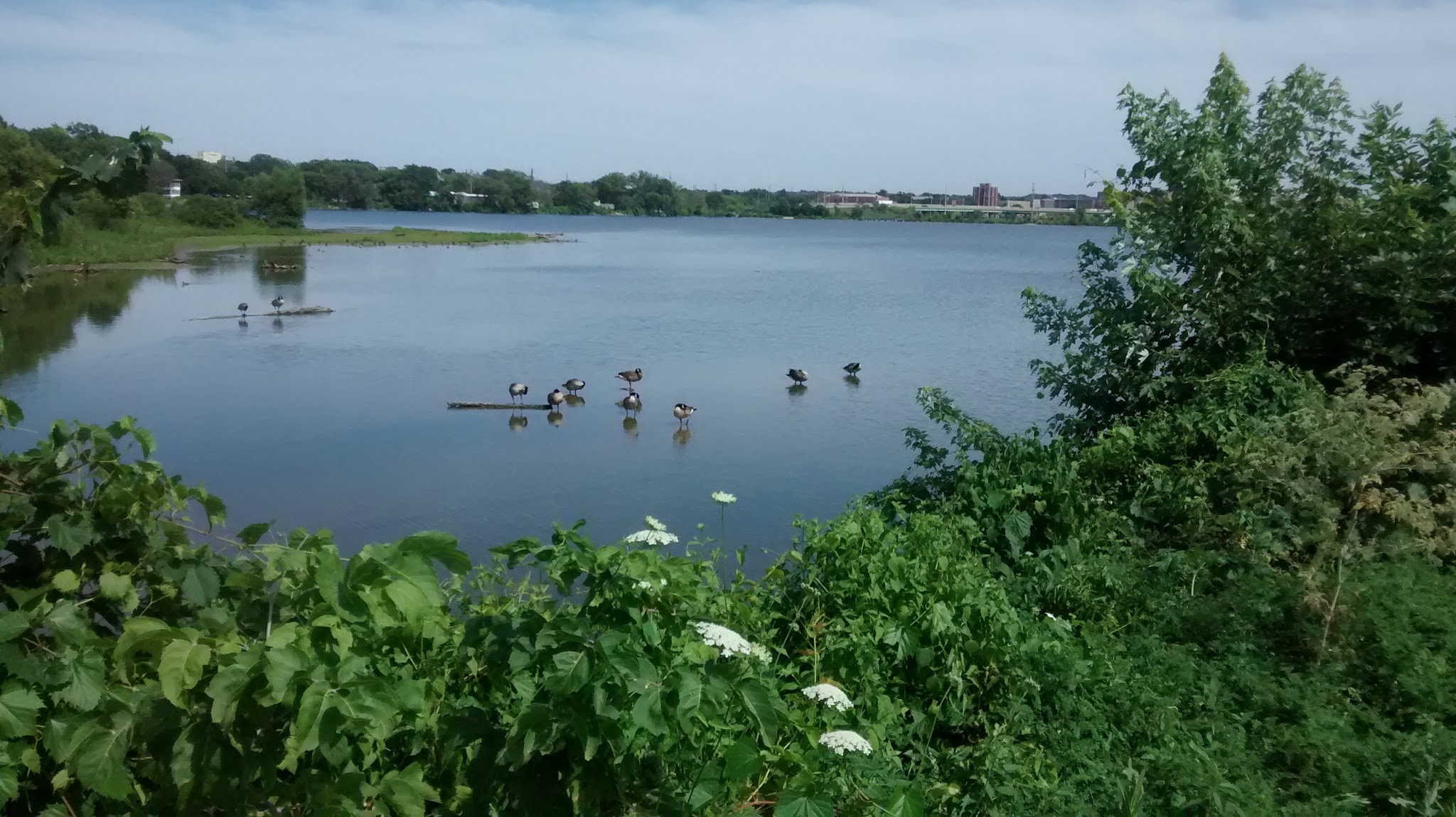 Cedar Valley Nature Trail - Hiawatha, IA