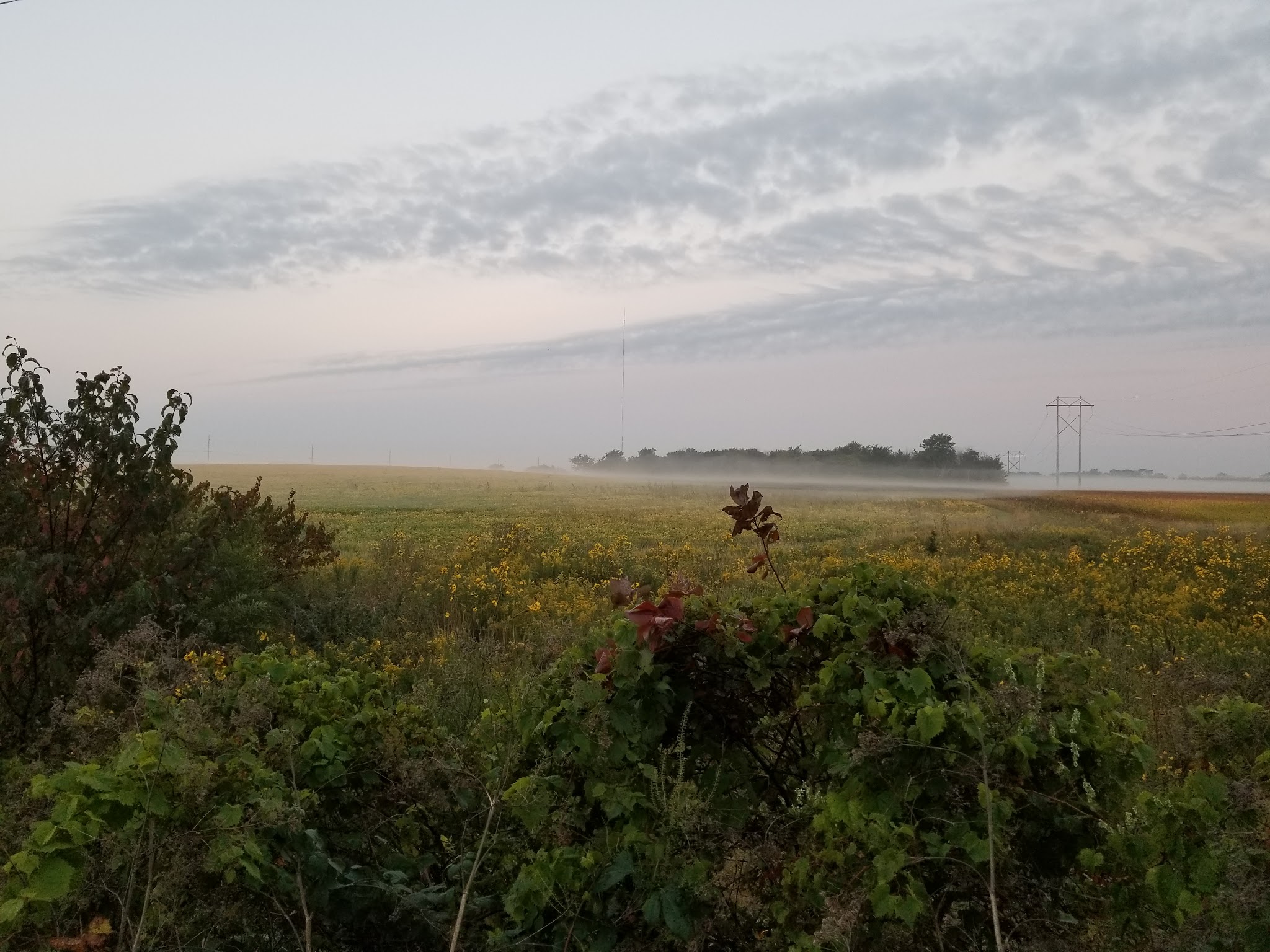 Cedar Valley Nature Trail - Hiawatha, IA