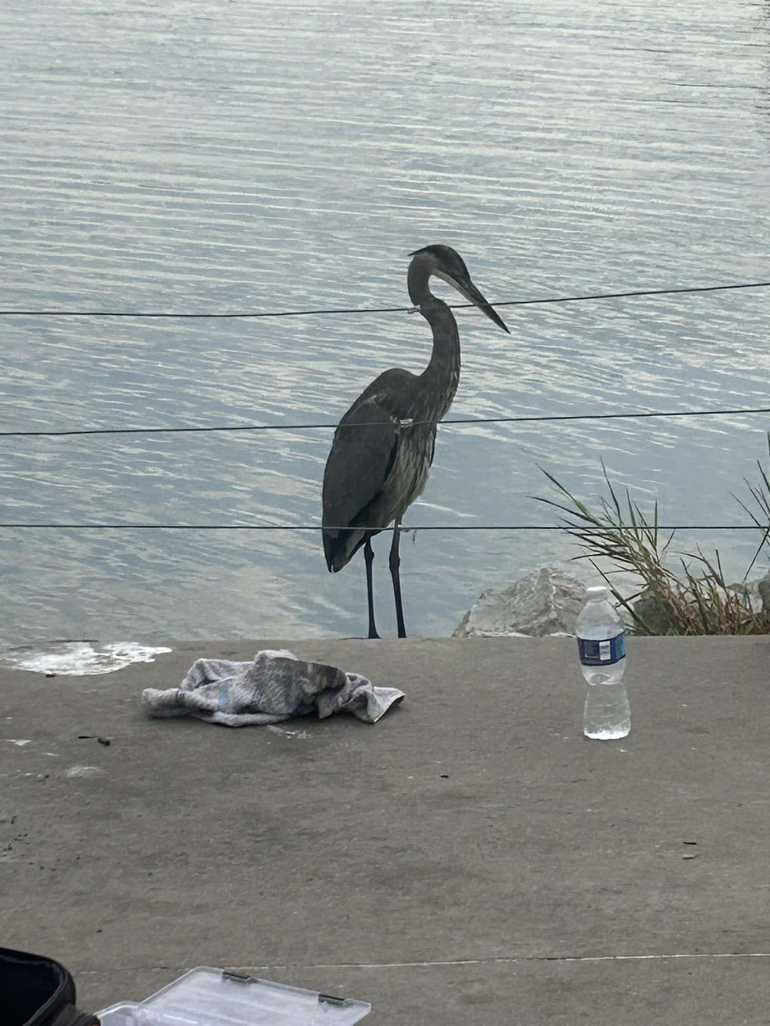 Stagecoach Lake State Recreation Area - Hickman, NE