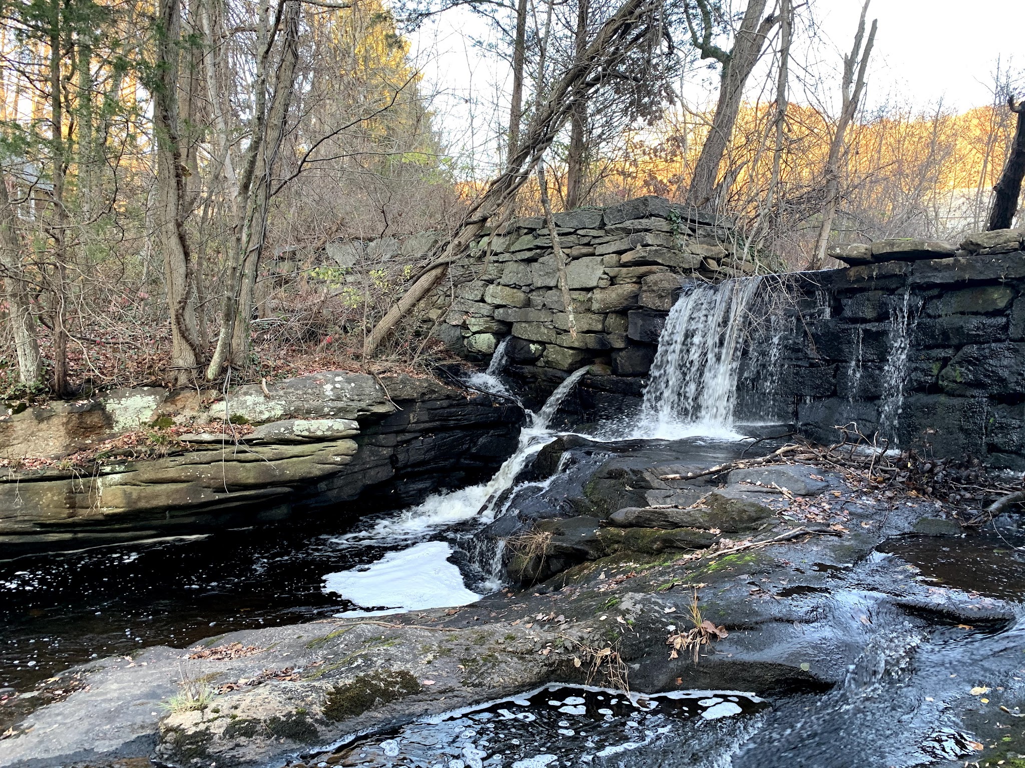 Higganum Reservoir State Park - Higganum, CT