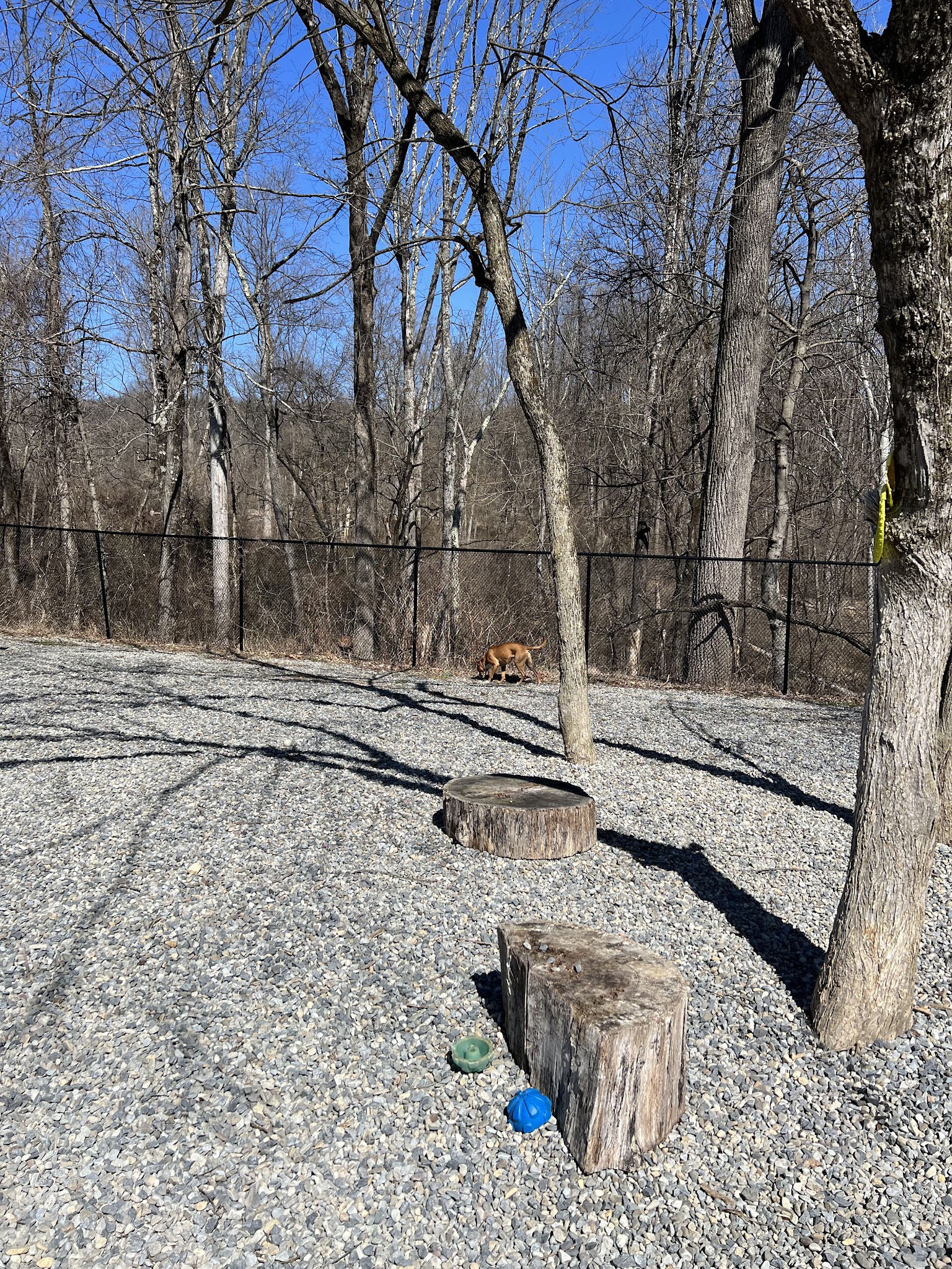 High Bridge Dog Park - High Bridge, NJ