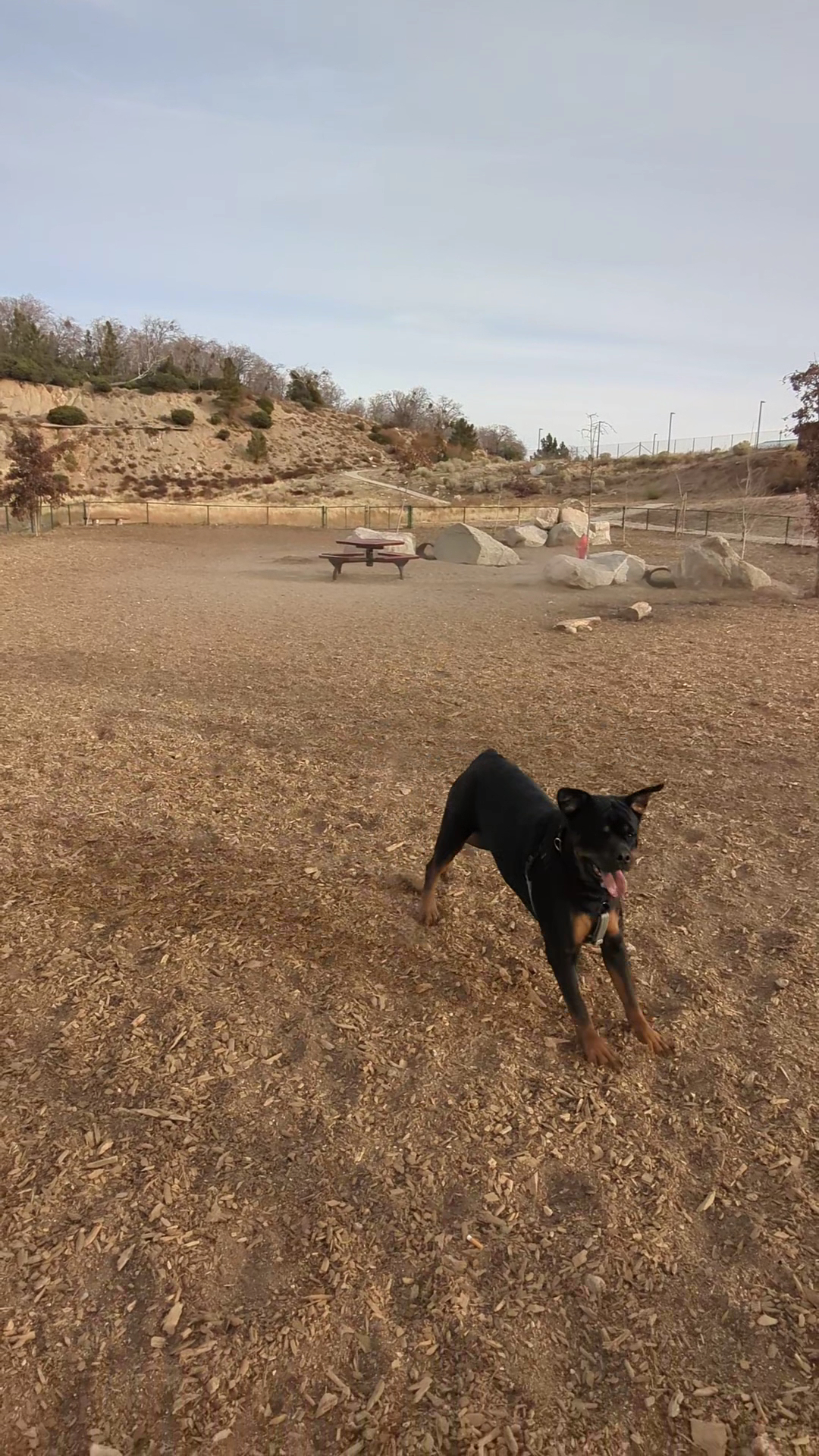 Dog park - Highland, CA
