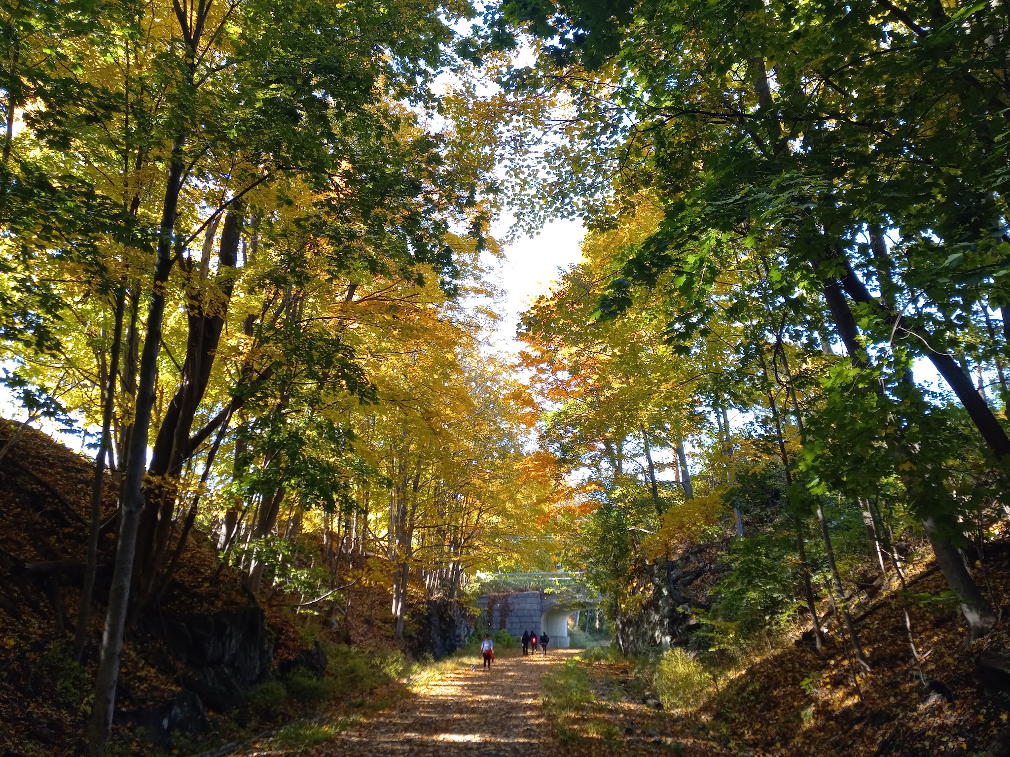 Hudson Valley Rail Trail - Highland, NY