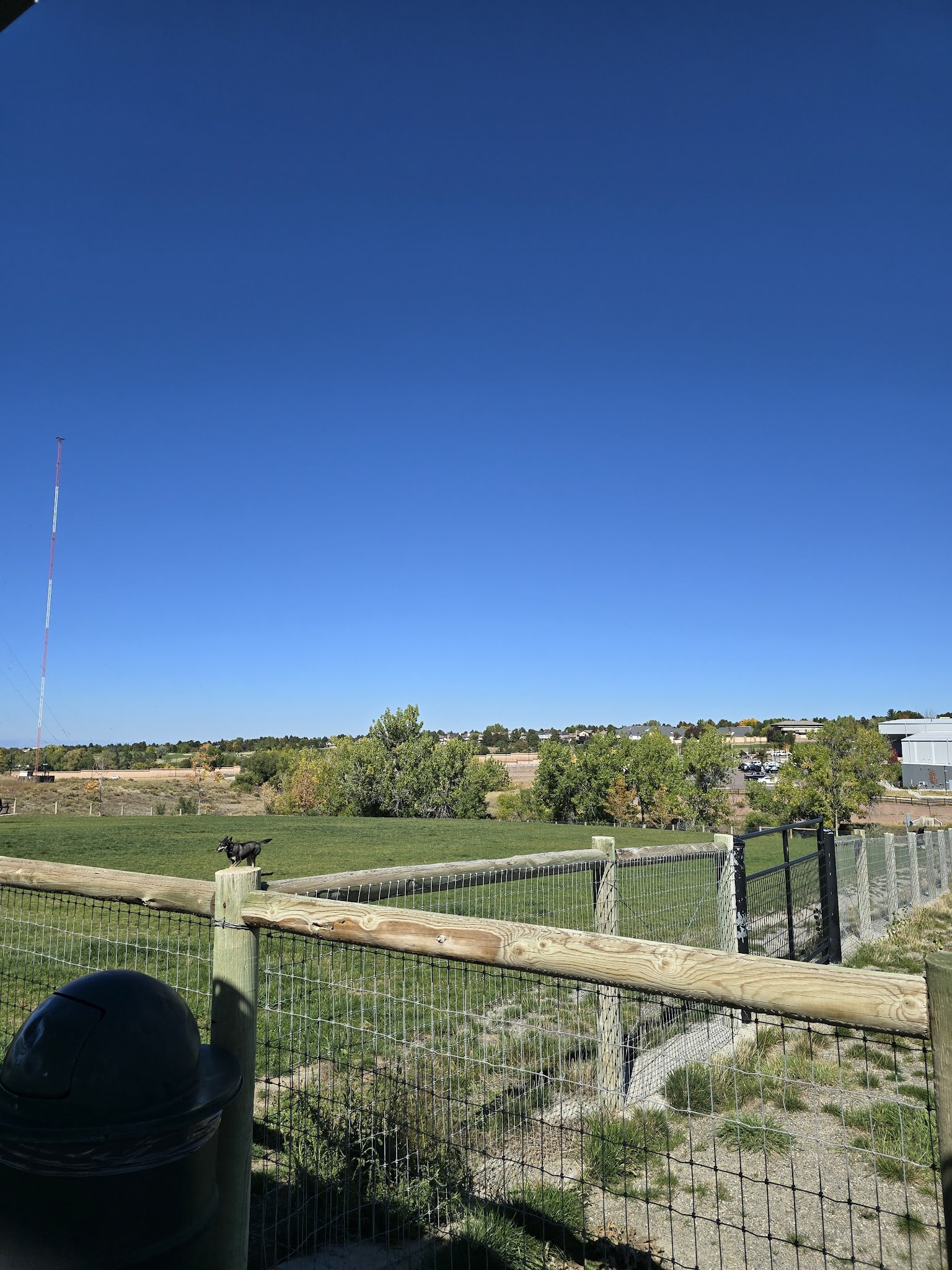 David Lorenz Dog Park - Highlands Ranch, CO
