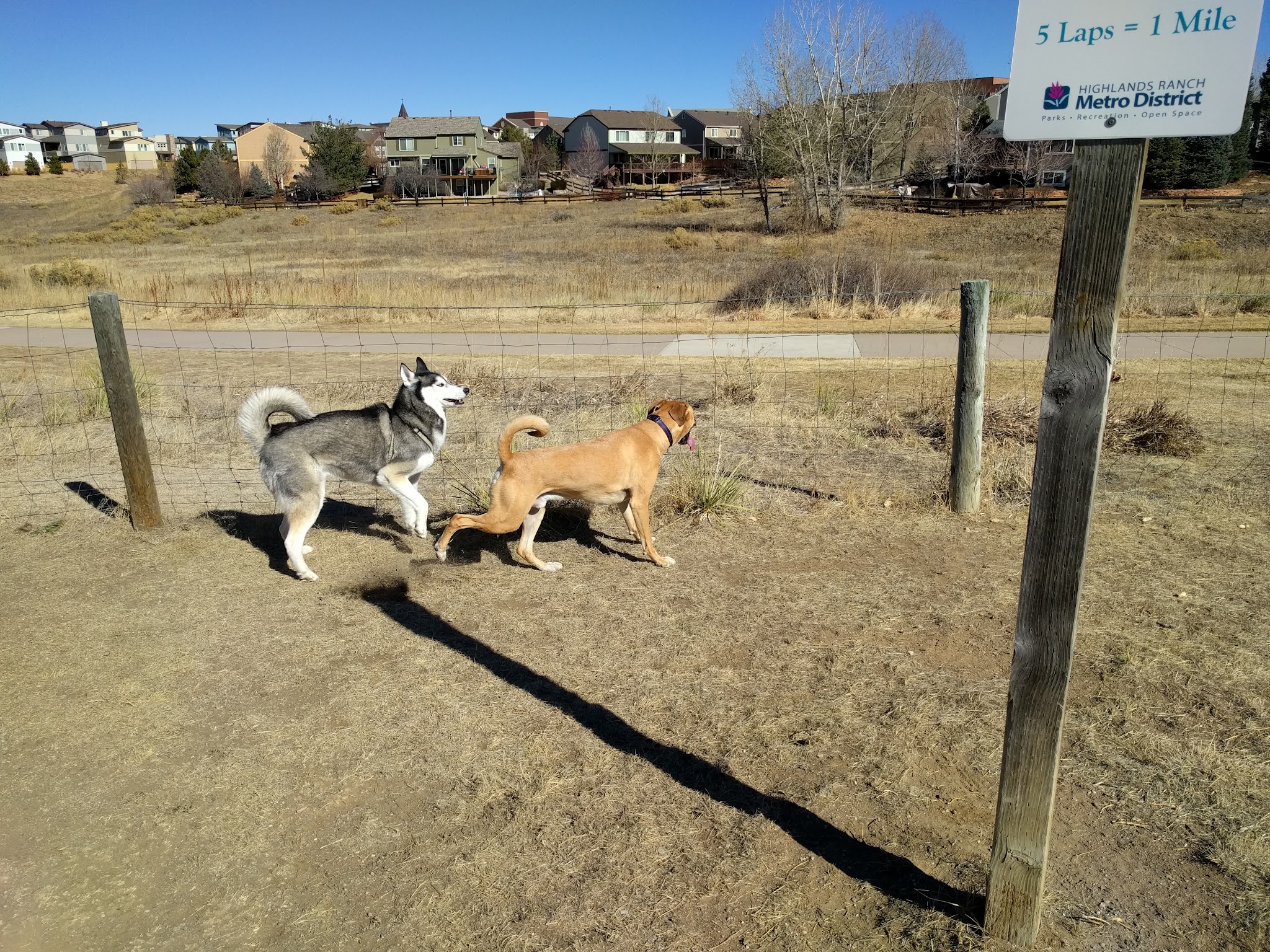 Digger's at Dad Clark Park - Highlands Ranch, CO