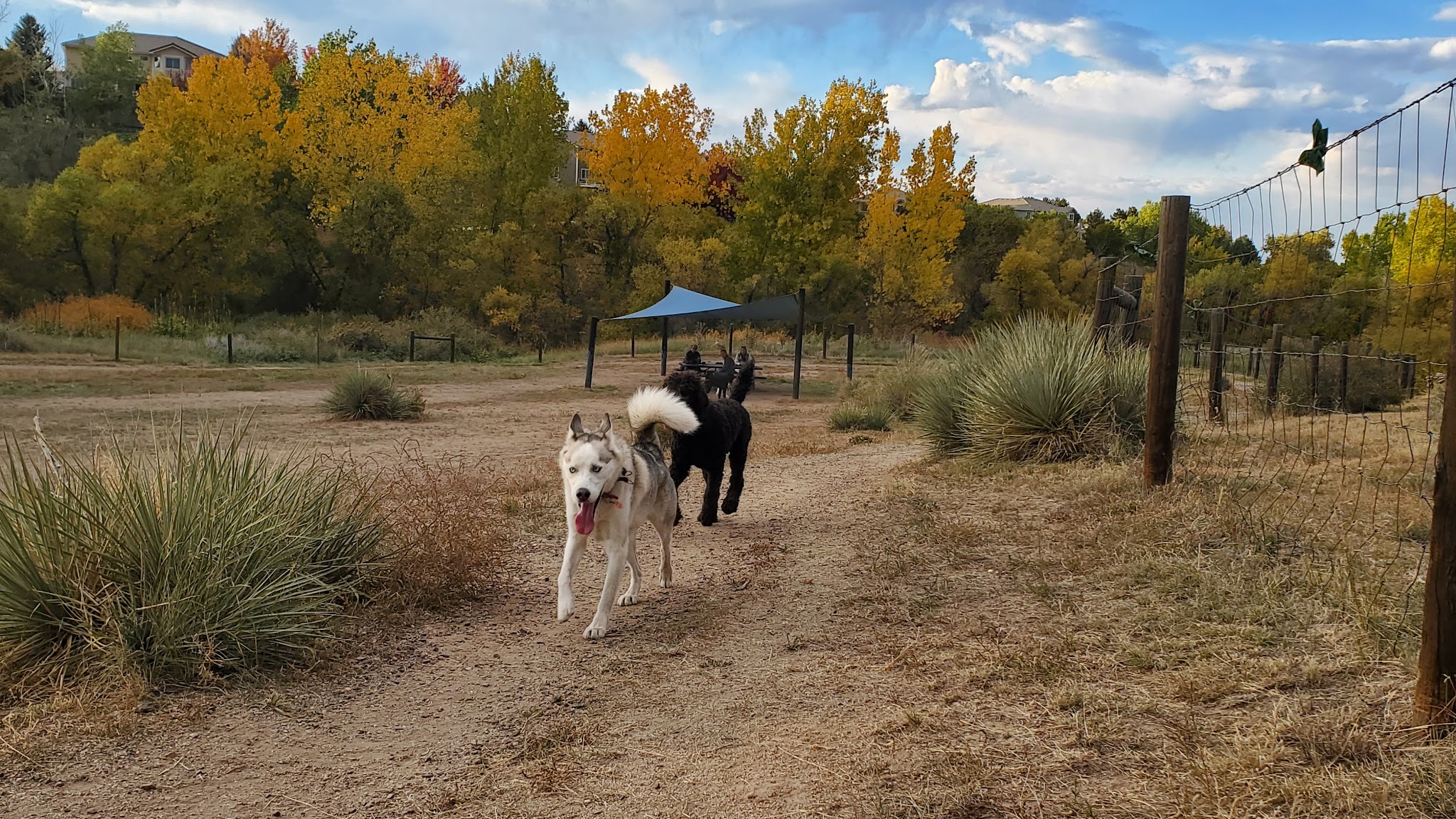 Digger's at Dad Clark Park - Highlands Ranch, CO