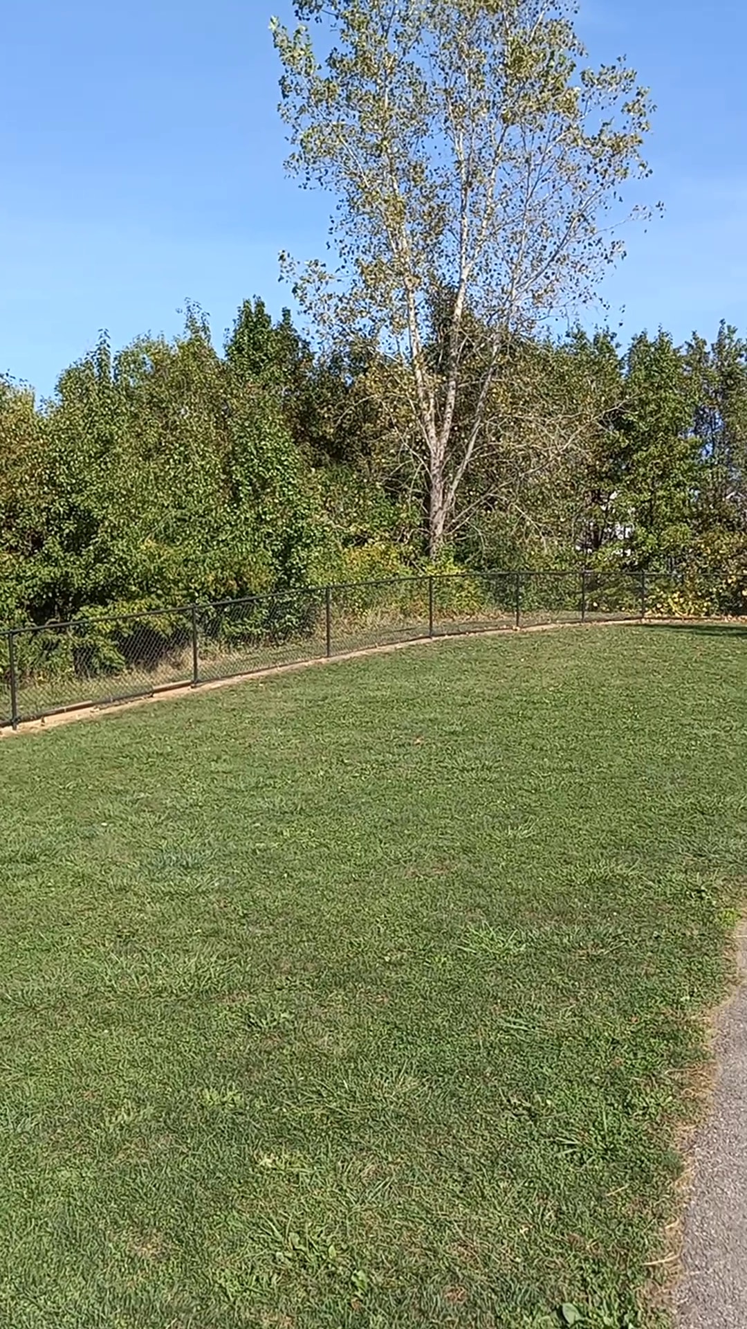 Spindler Dog Park - Hilliard, OH
