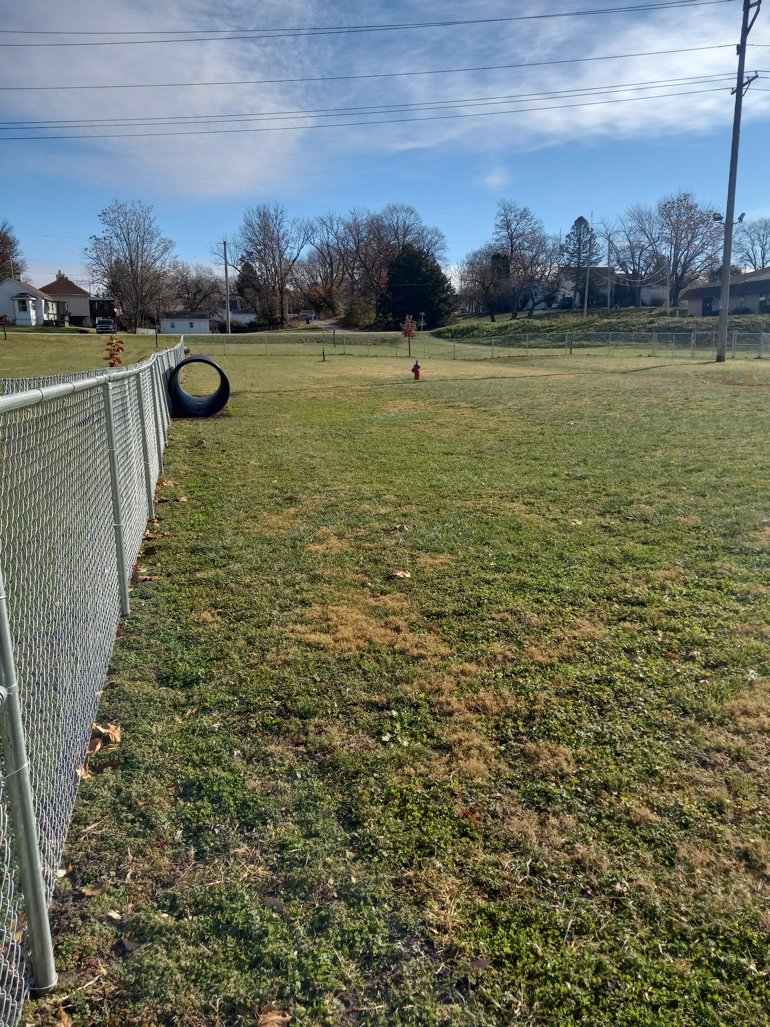 Dog Park - Hillsboro, IL
