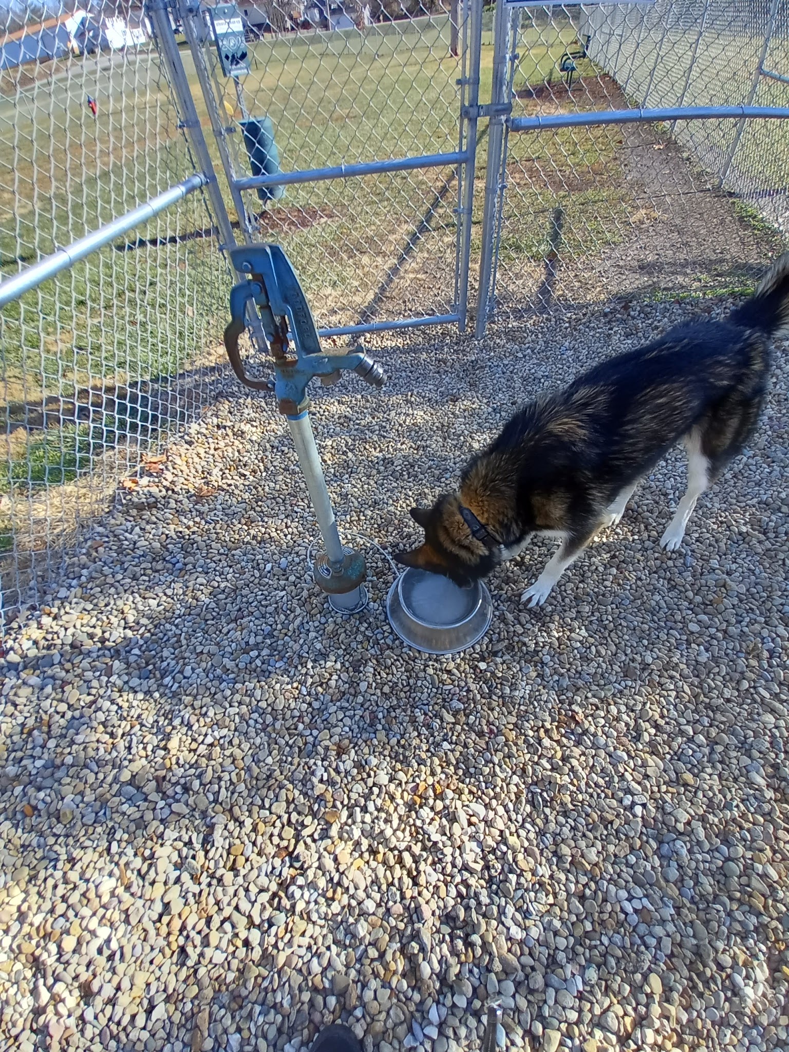 Dog Park - Hillsboro, IL
