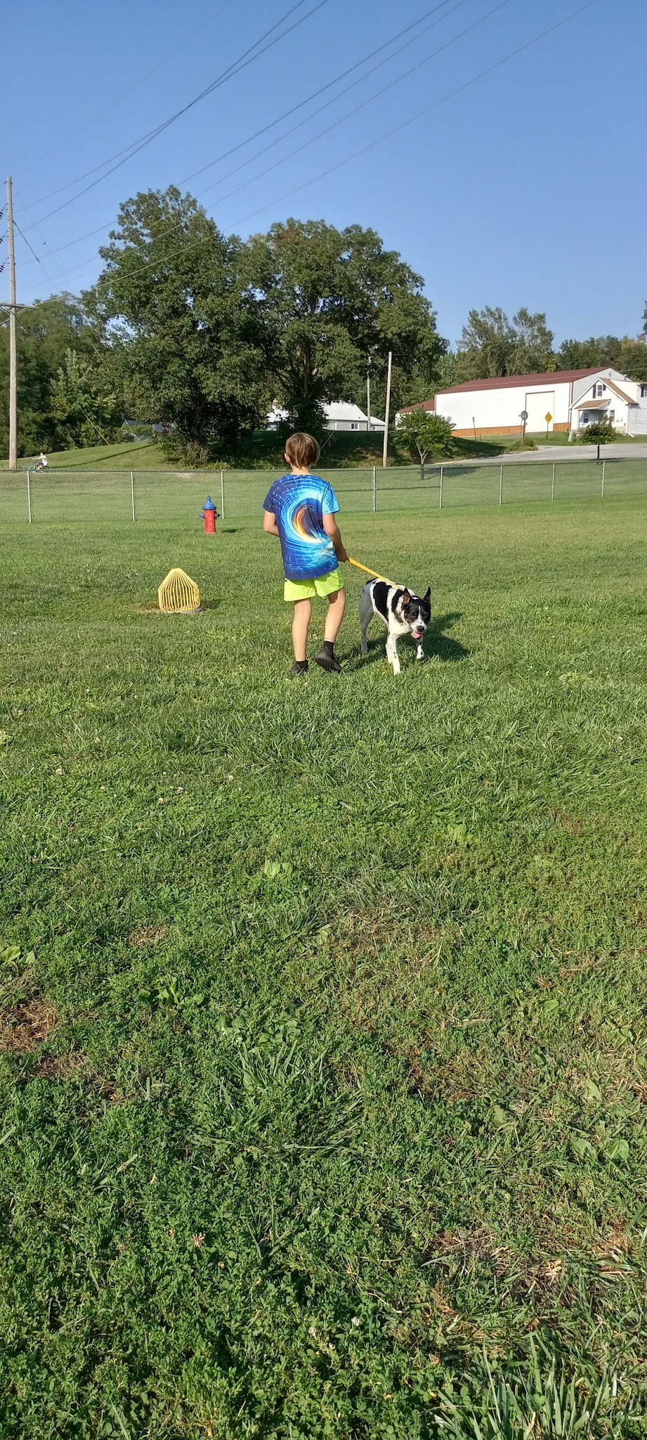 Dog Park - Hillsboro, IL