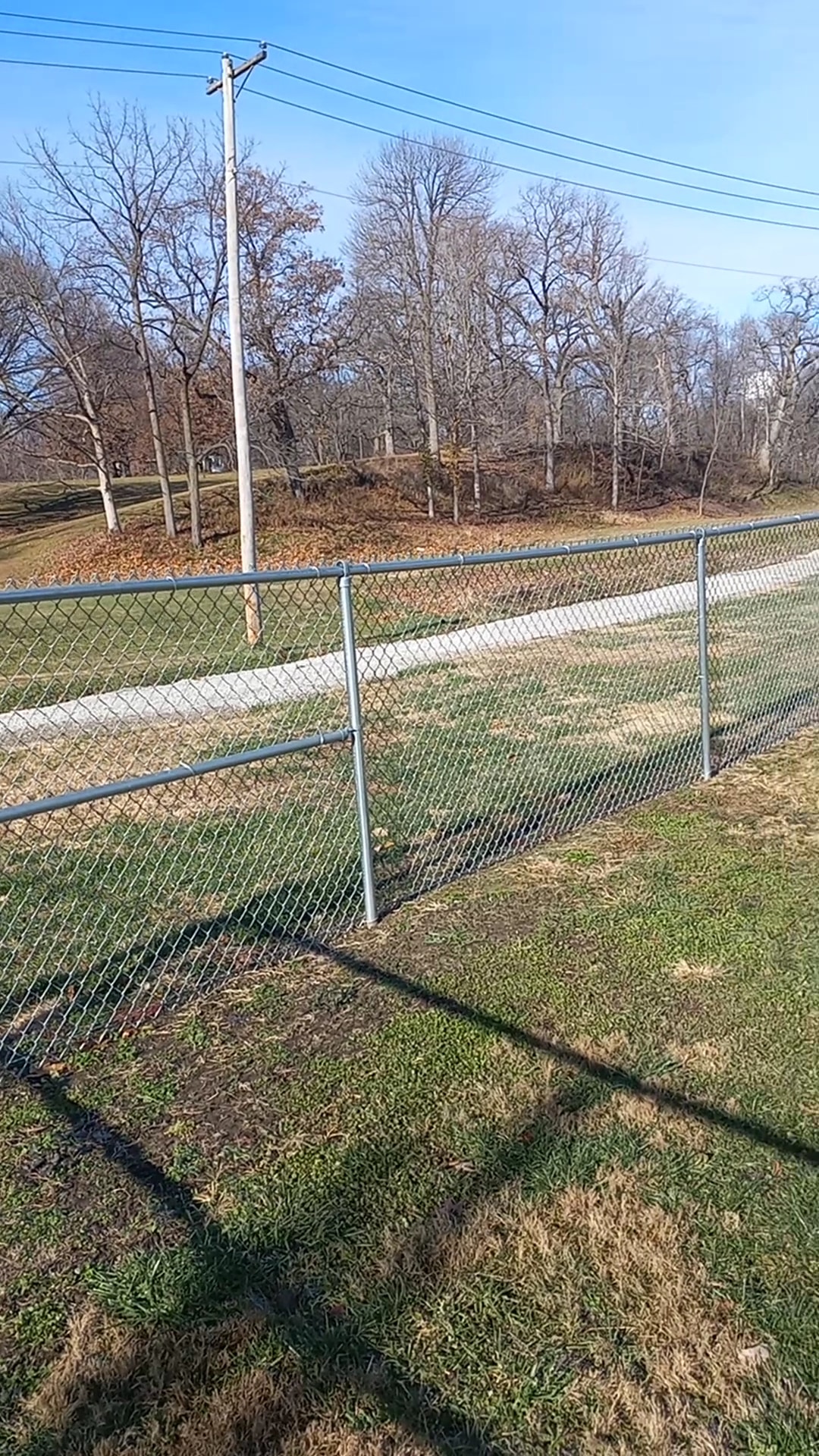 Dog Park - Hillsboro, IL