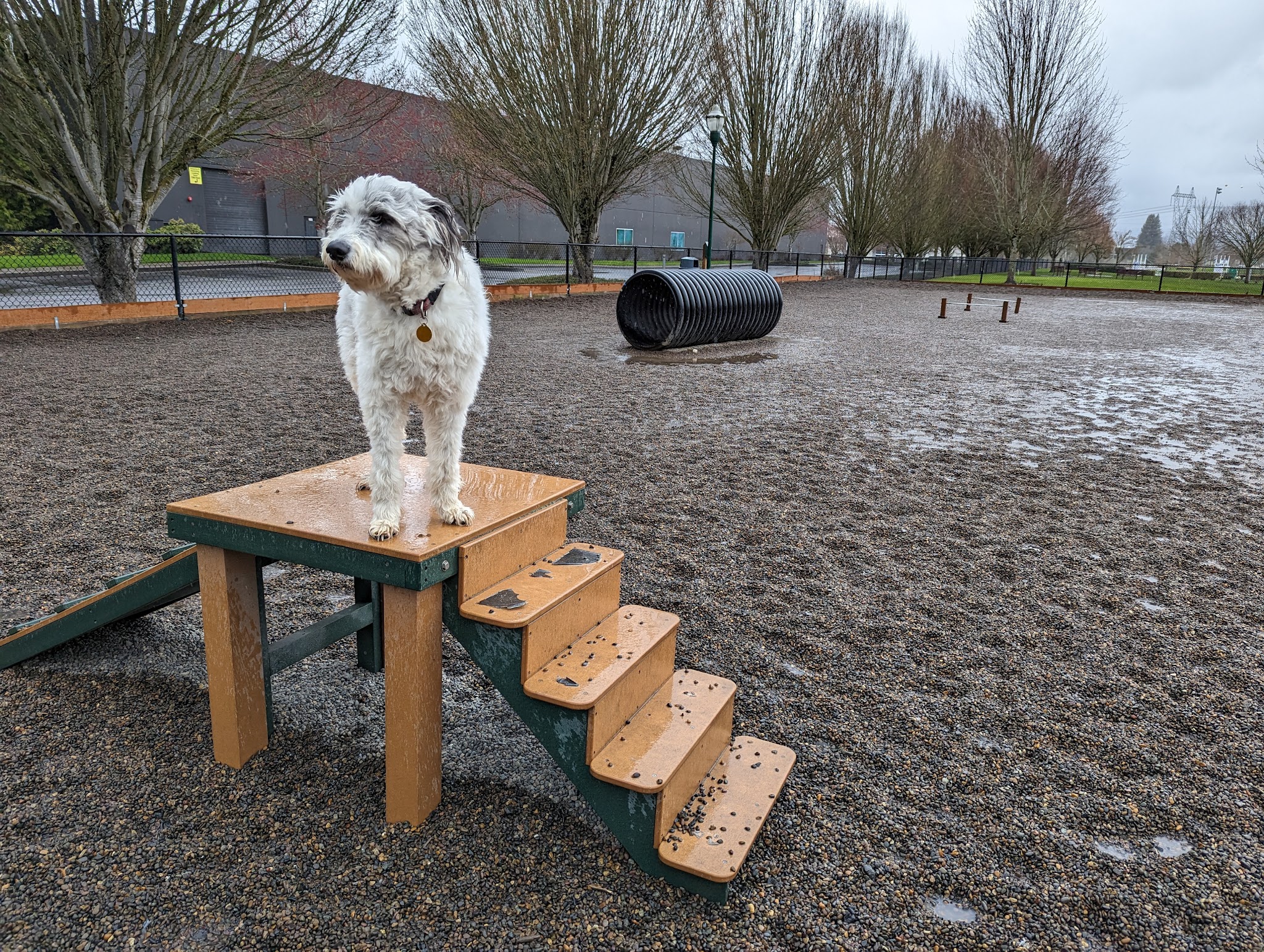 Hondo Dog Park - Hillsboro, OR