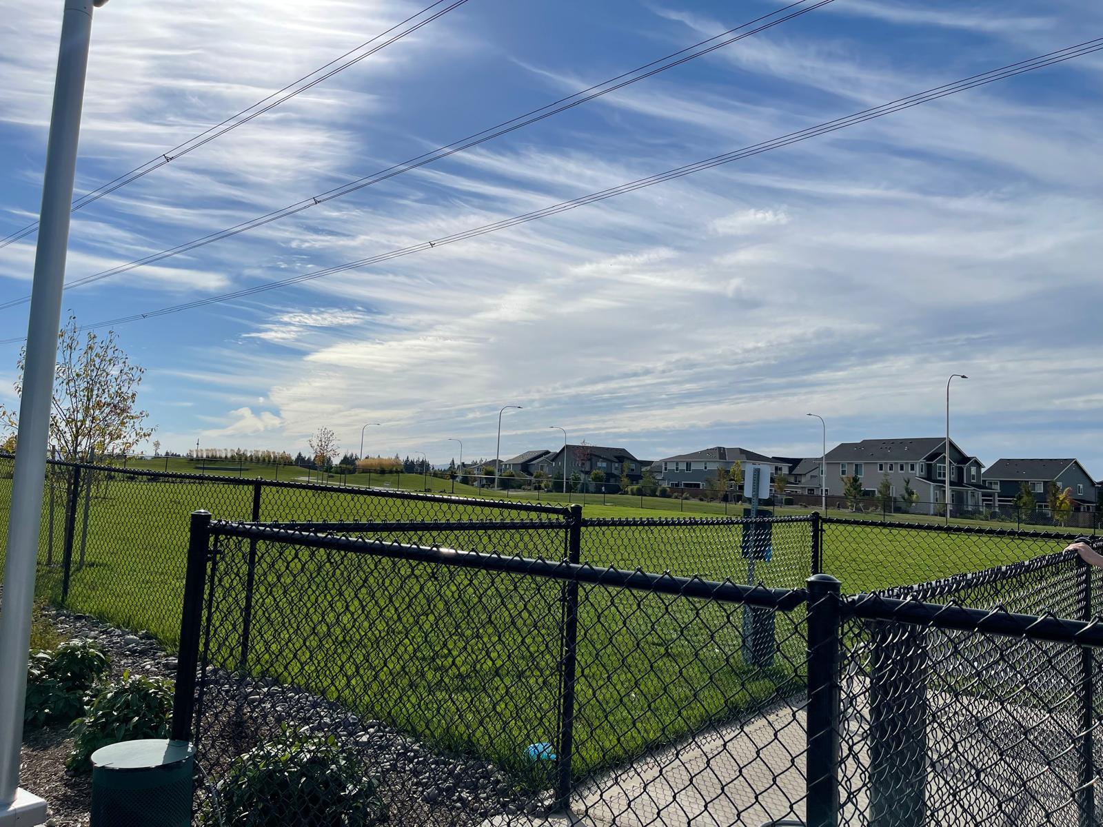 Reed’s Crossing Dog Park - Hillsboro, OR