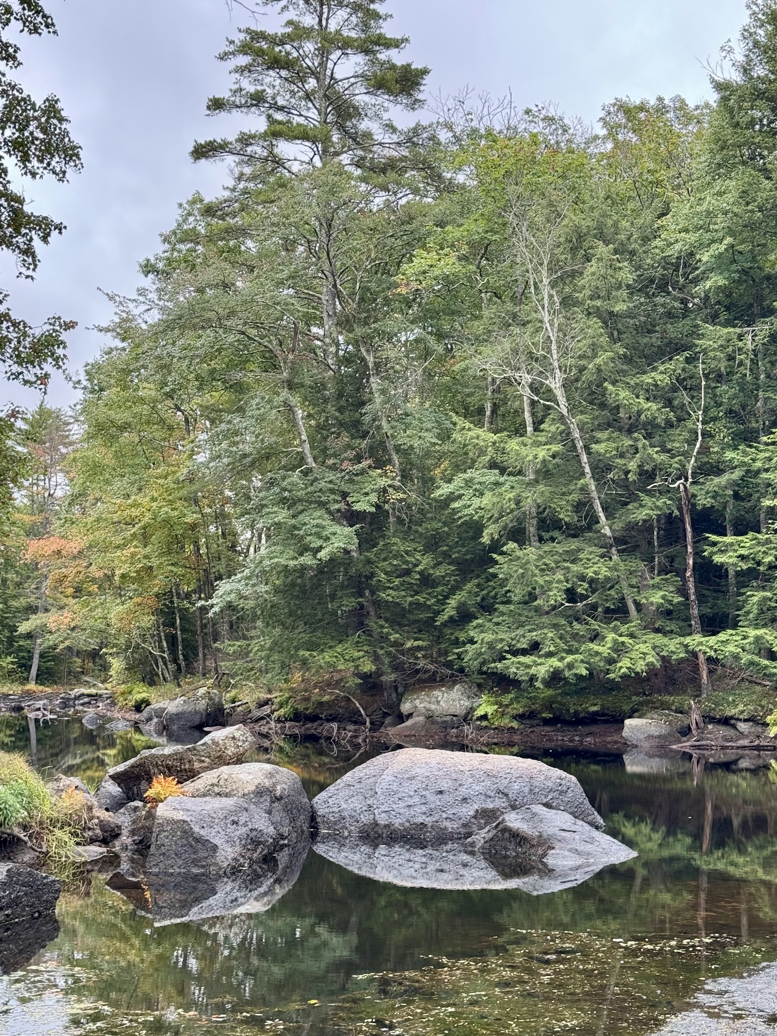 Beard Brook Park - Hillsborough, NH