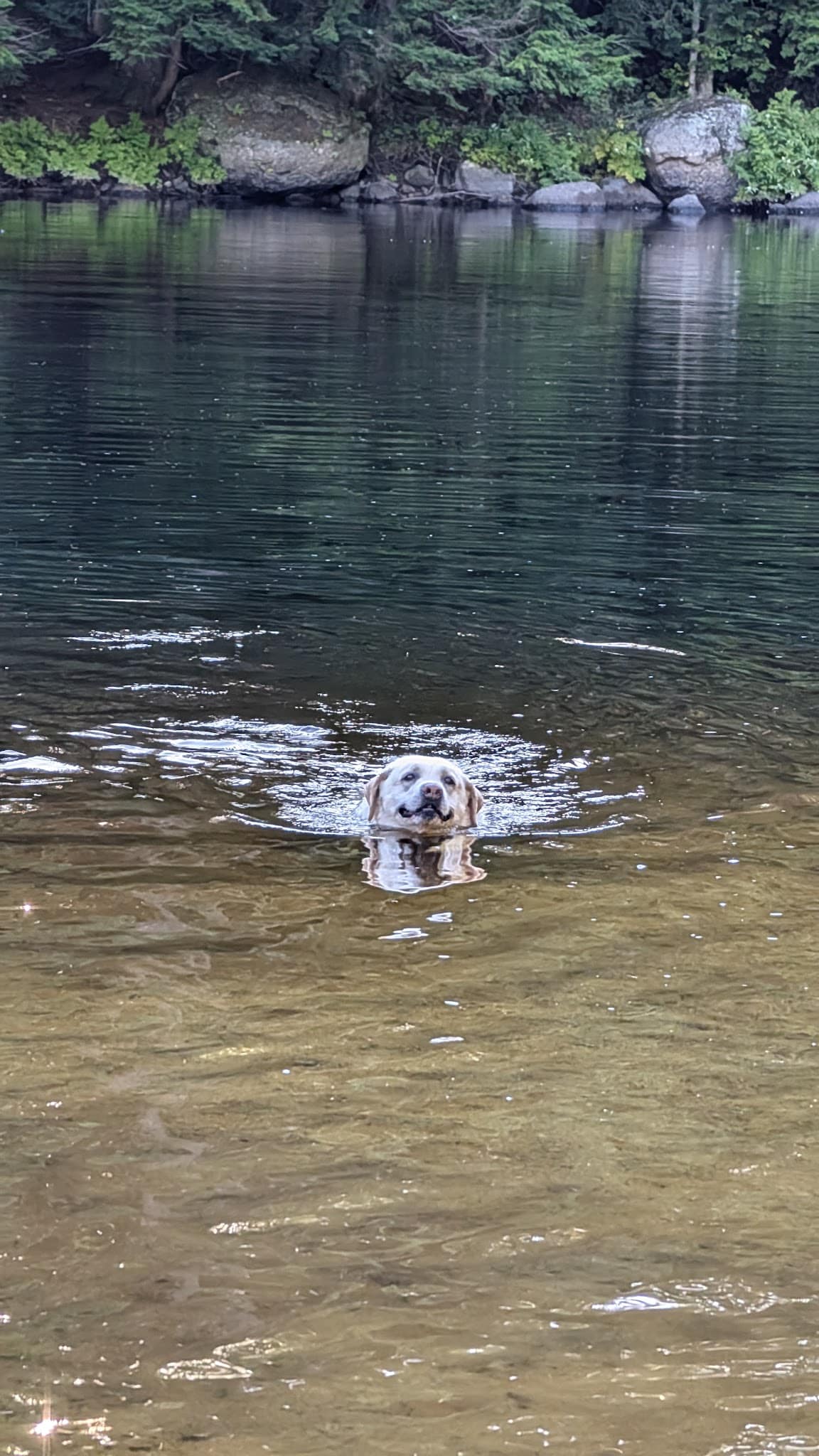 Beard Brook Park - Hillsborough, NH