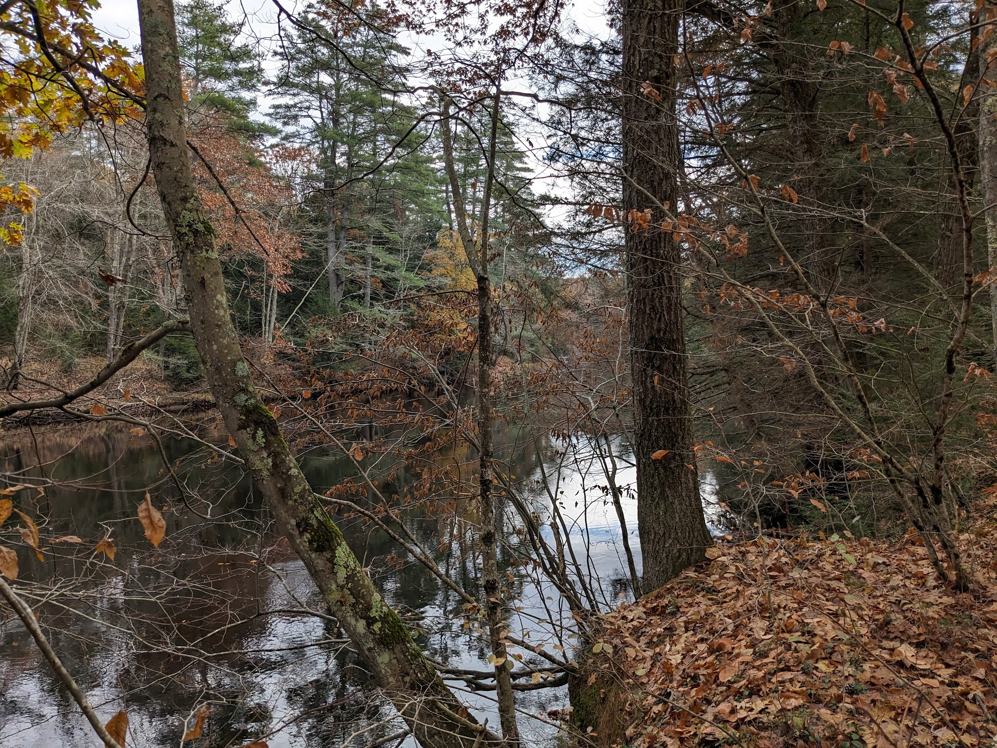 Contoocook River Walk - Hillsborough, NH