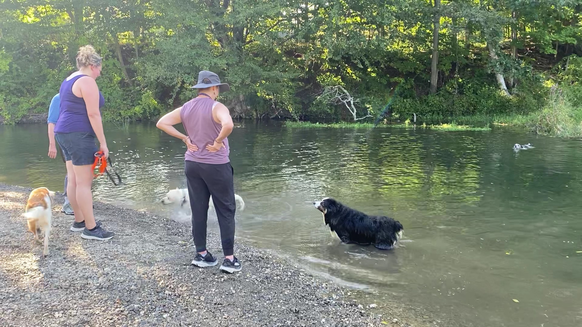 Roeliff Jansen Park - Hillsdale, NY