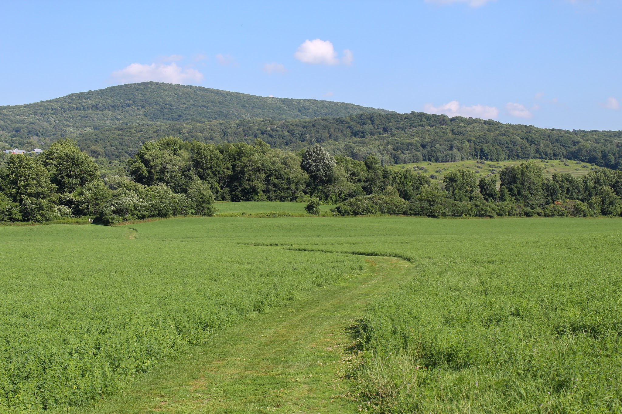 Roeliff Jansen Park - Hillsdale, NY