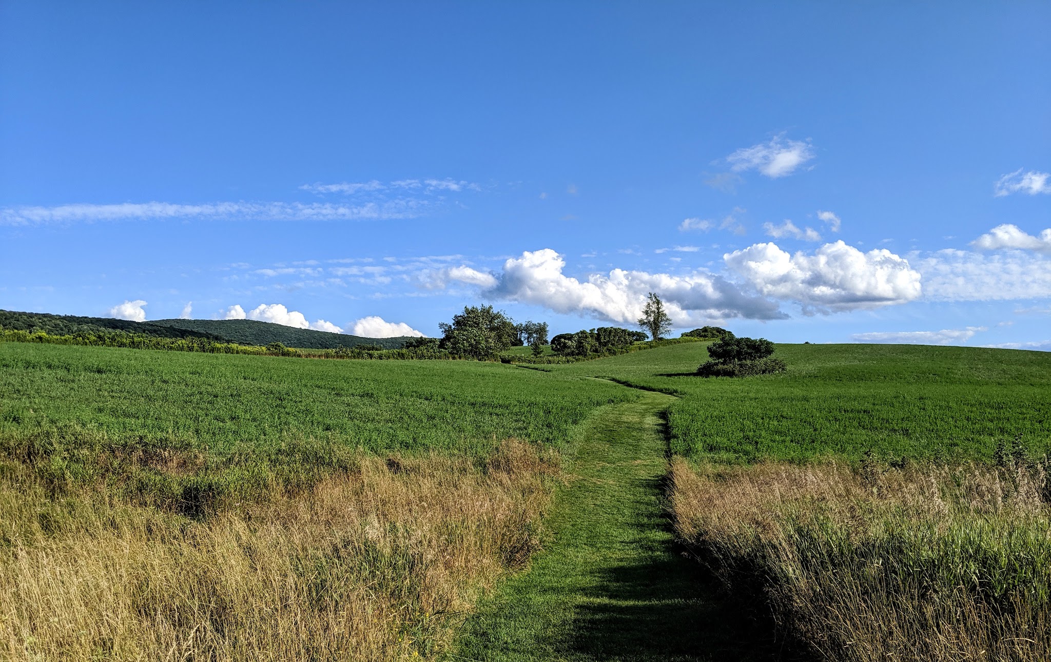 Roeliff Jansen Park - Hillsdale, NY