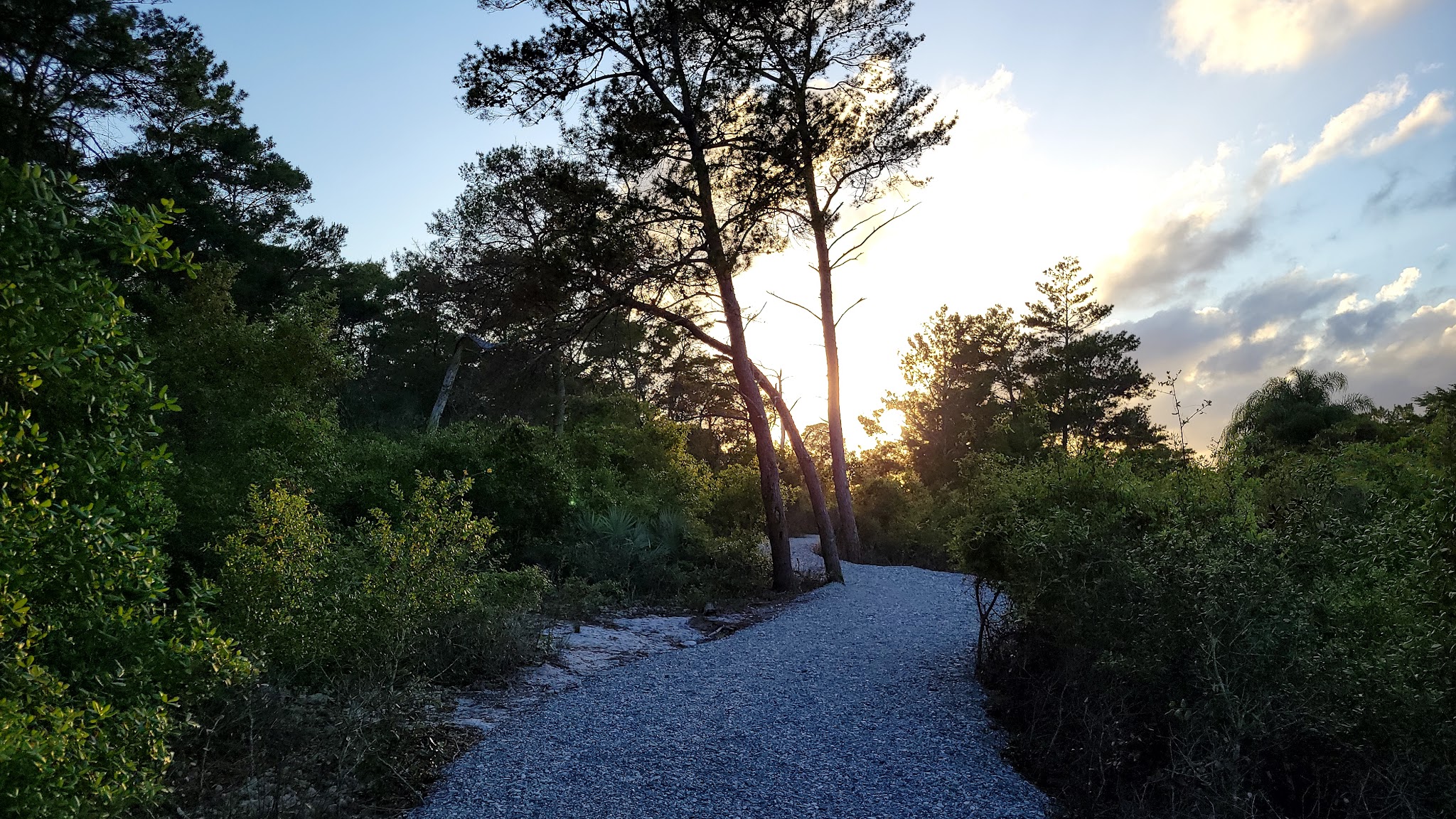 Hobe Sound Scrub Preserve - Hobe Sound, FL