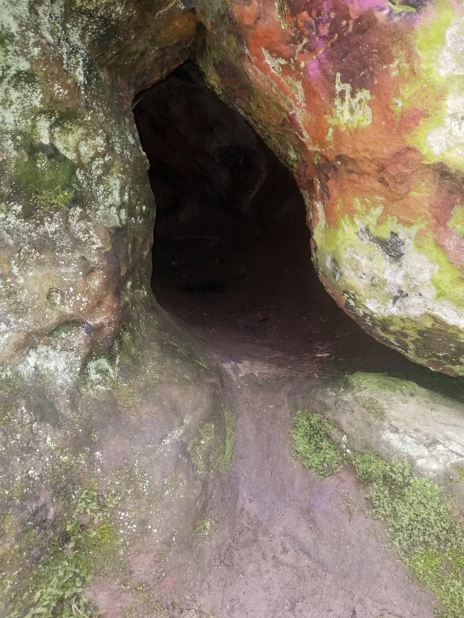 Hollow Rock Park - Hollow Rock, TN