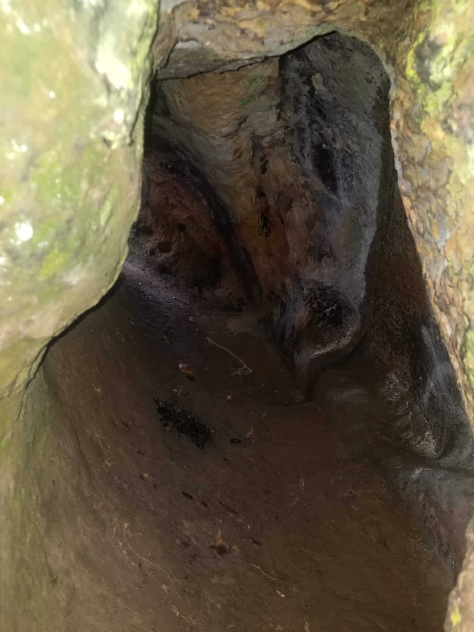 Hollow Rock Park - Hollow Rock, TN