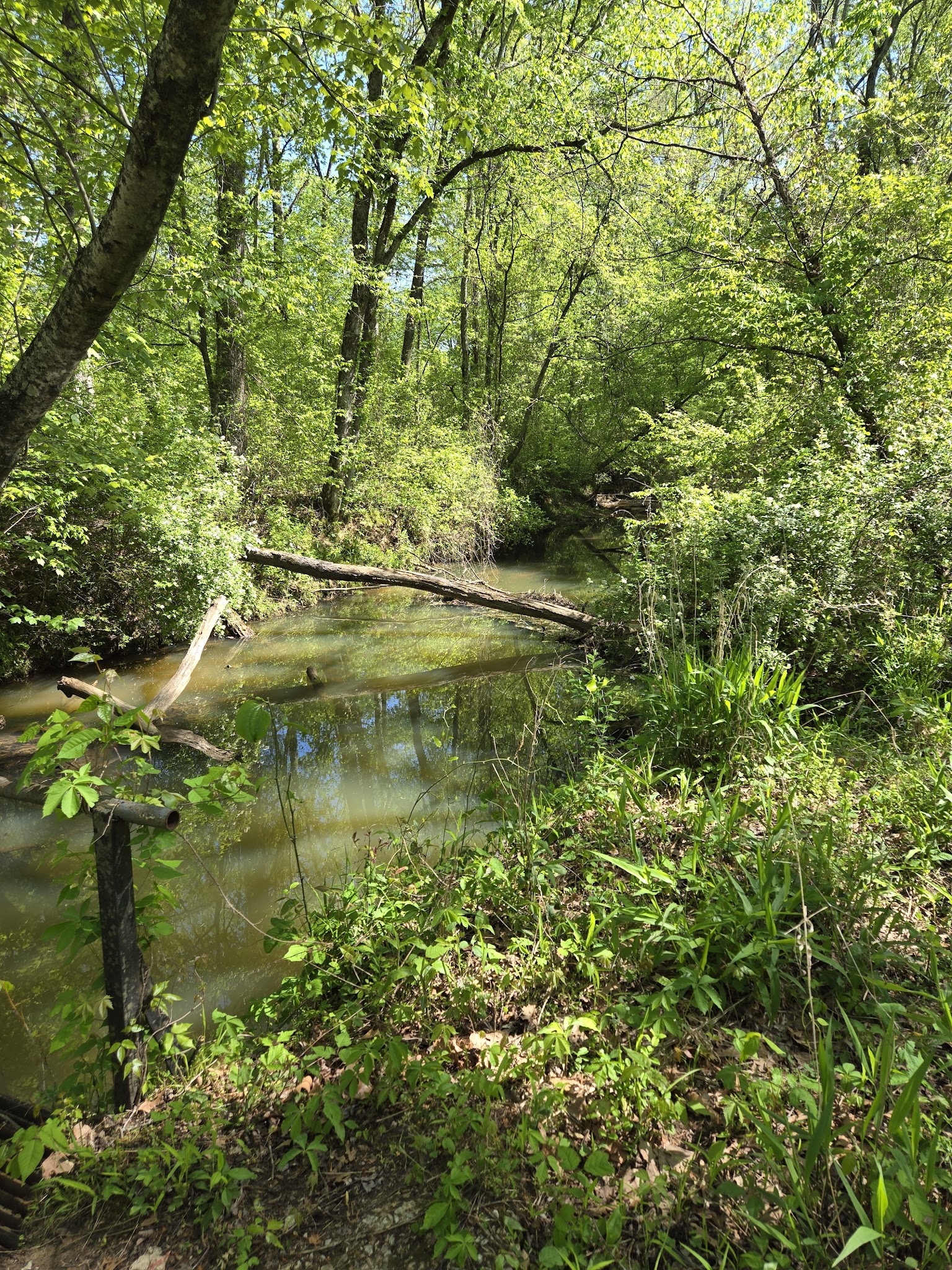 Hollow Rock Park - Hollow Rock, TN