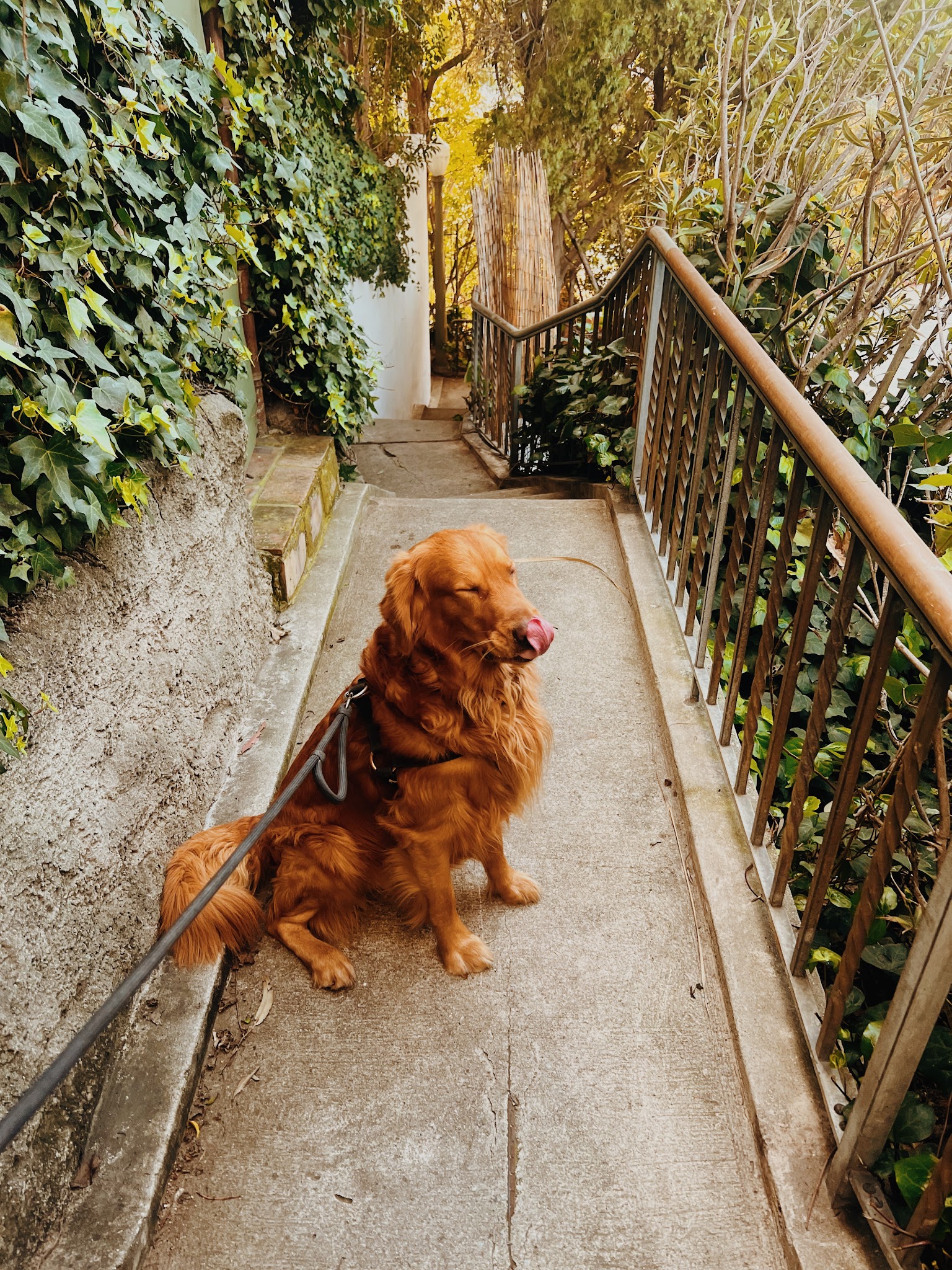 Whitley Terrace Steps - Hollywood, CA