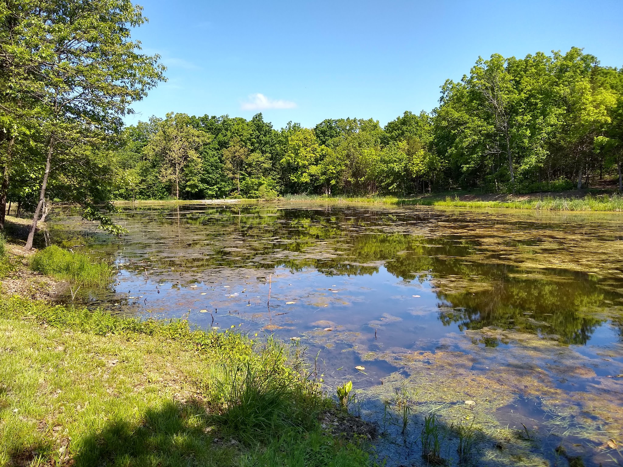 Holts Summit Park - Holts Summit, MO