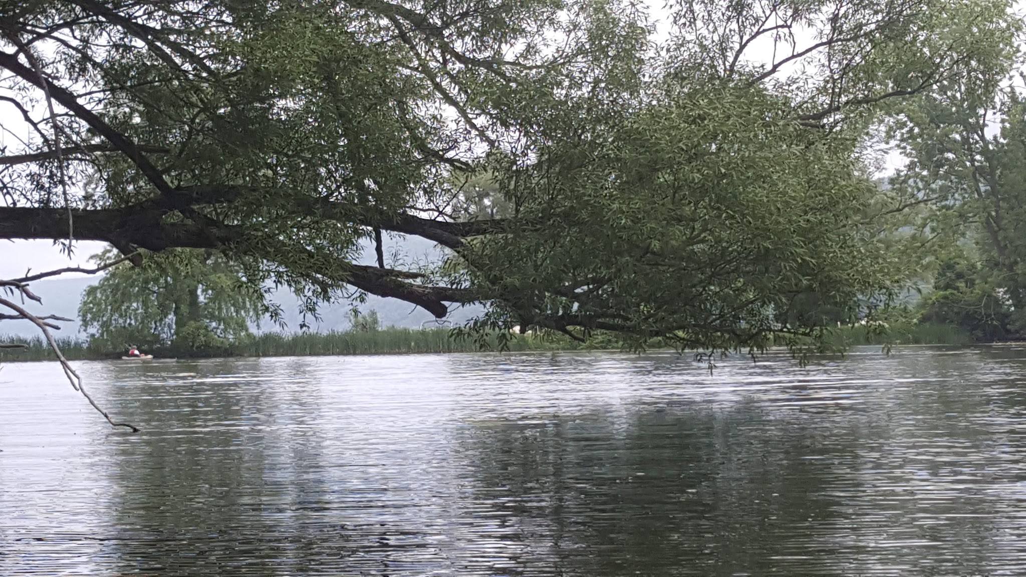 Andrew R. Fuller Park - Homer, NY